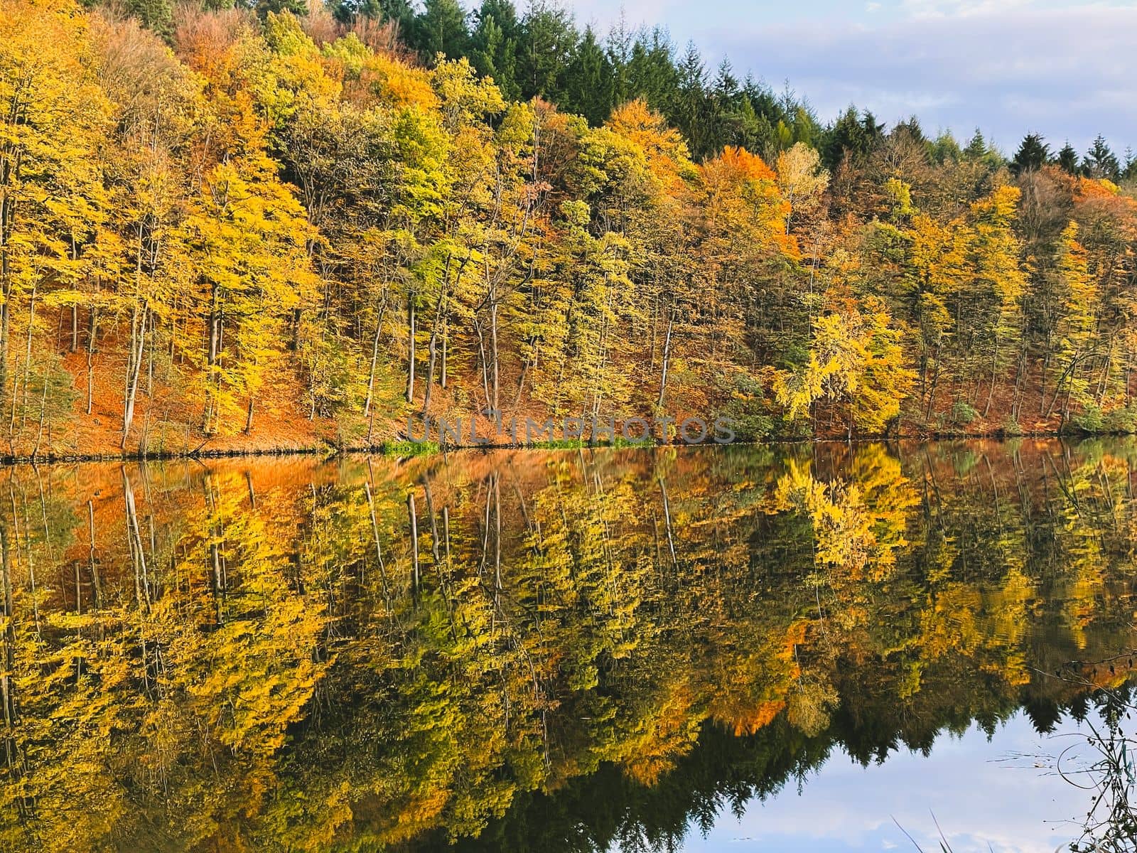 A forest lake surrounded by autumn foliage wallpaper. Forest lake in autumn background. Autumn forest lake postcard. Forest lake in autumn landscape in Marbach Fulda Hesse Germany. High quality photo