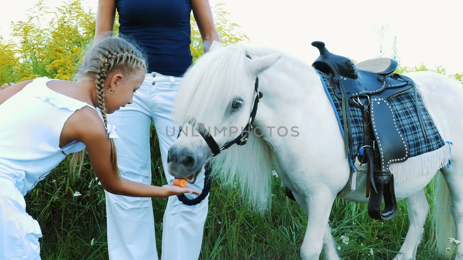 Children, a boy and a girl of seven years, fed a white pony, give to eat carrots. Cheerful, happy family vacation. Outdoors, in the summer, near the forest. High quality photo