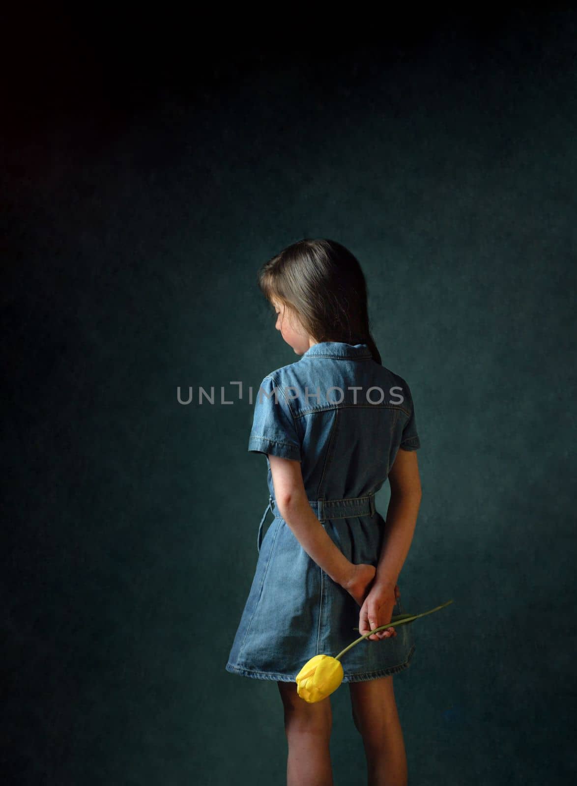 Back view of a young girl with long brown hair in a blue dress, standing and holding a yellow tulip behind her back on a dark background. High quality photo