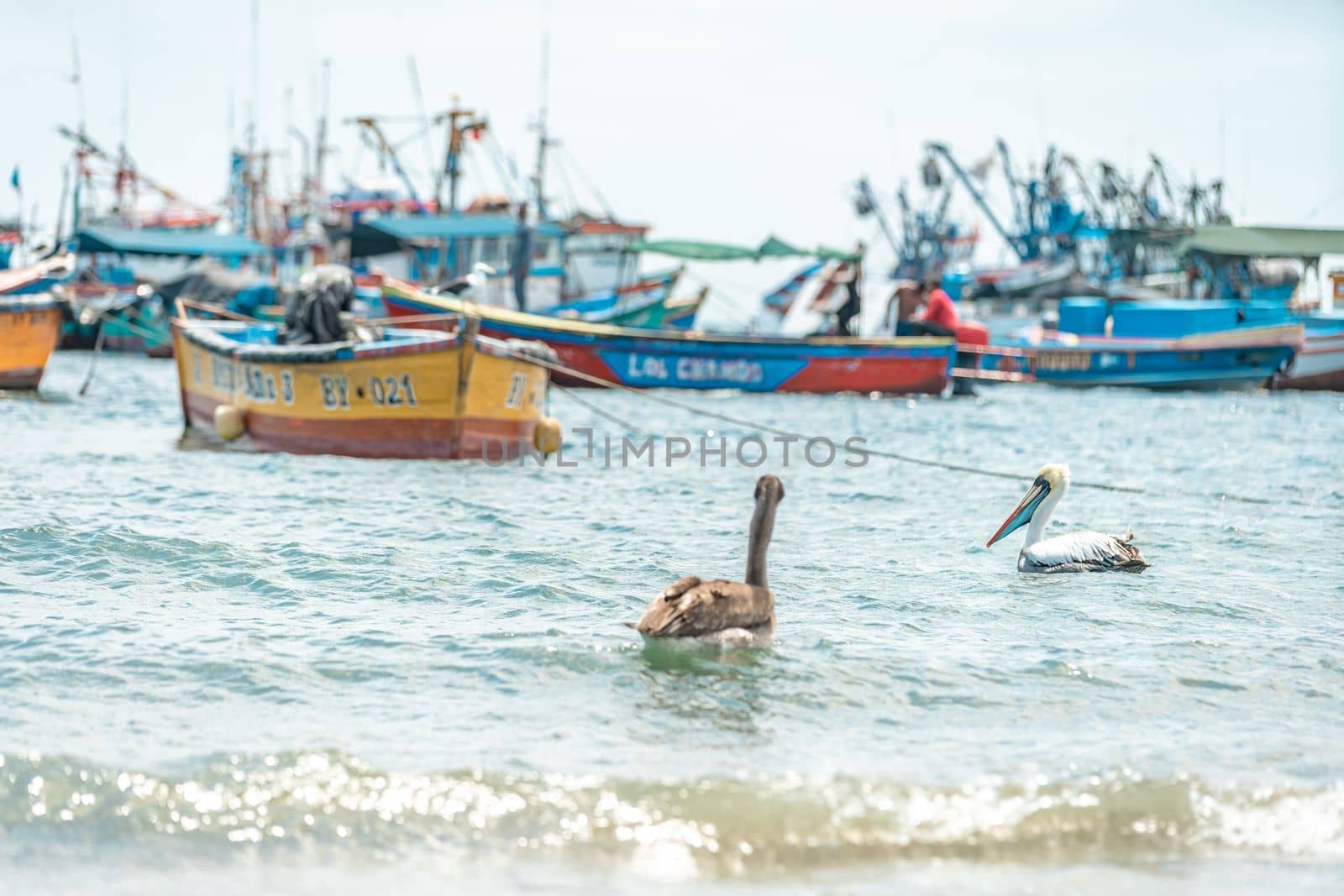 Peru - September 21, 2022: fishing boats in the sea by Edophoto