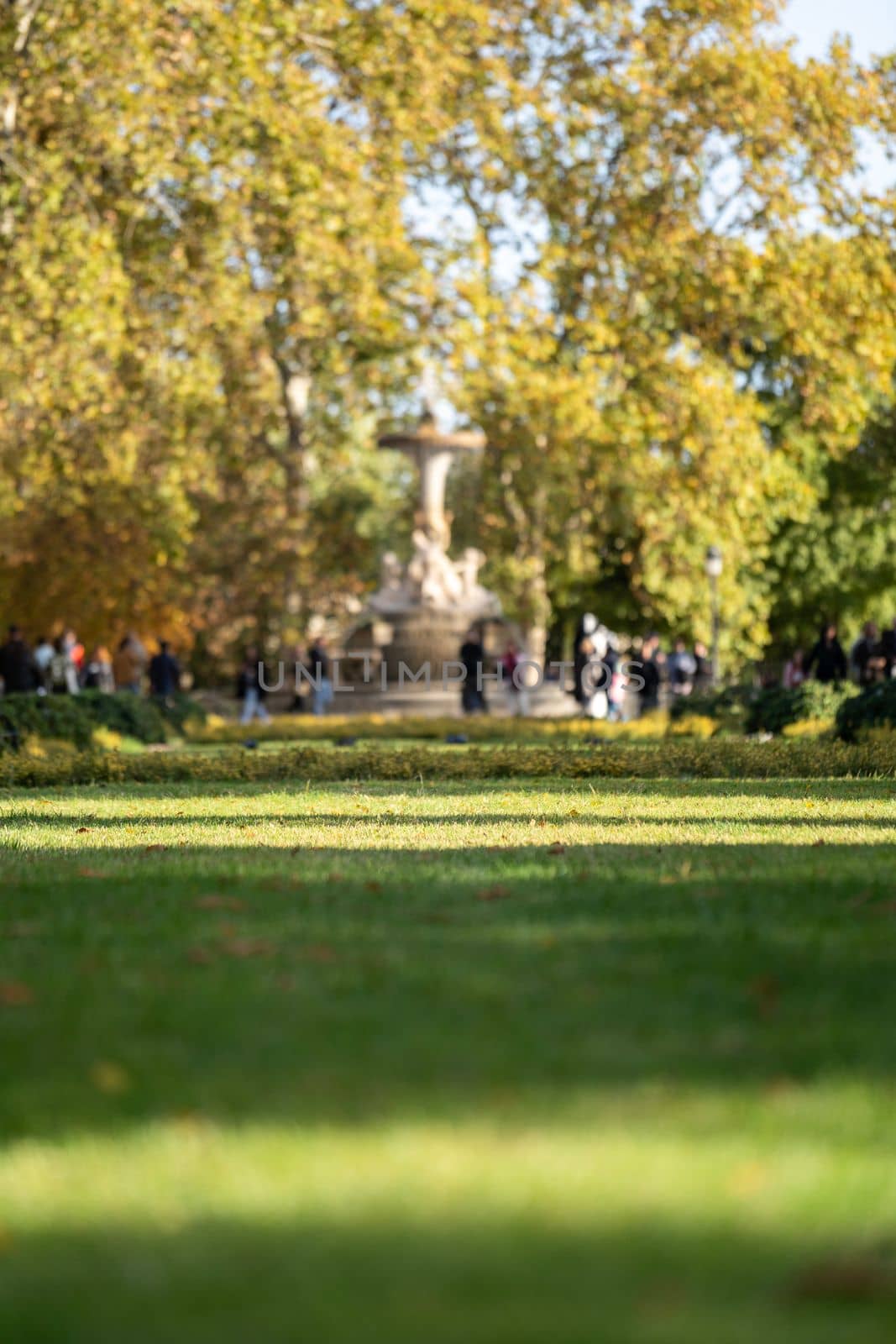 Defocused blurred on purpose. Sun rays over crowded retiro park grass in Madrid at sunset.