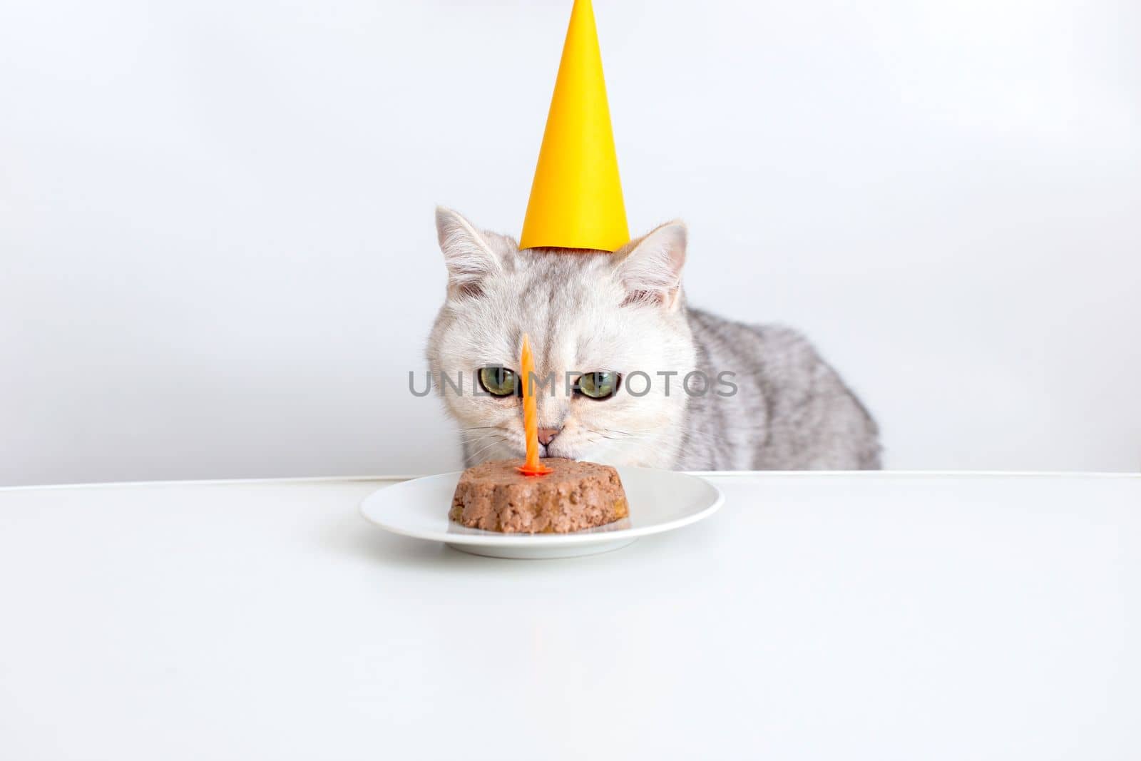 A funny white cat in a yellow paper cap sits at a white table and eats a canned cat cake with a candle. Multi-colored flags hang in the background
