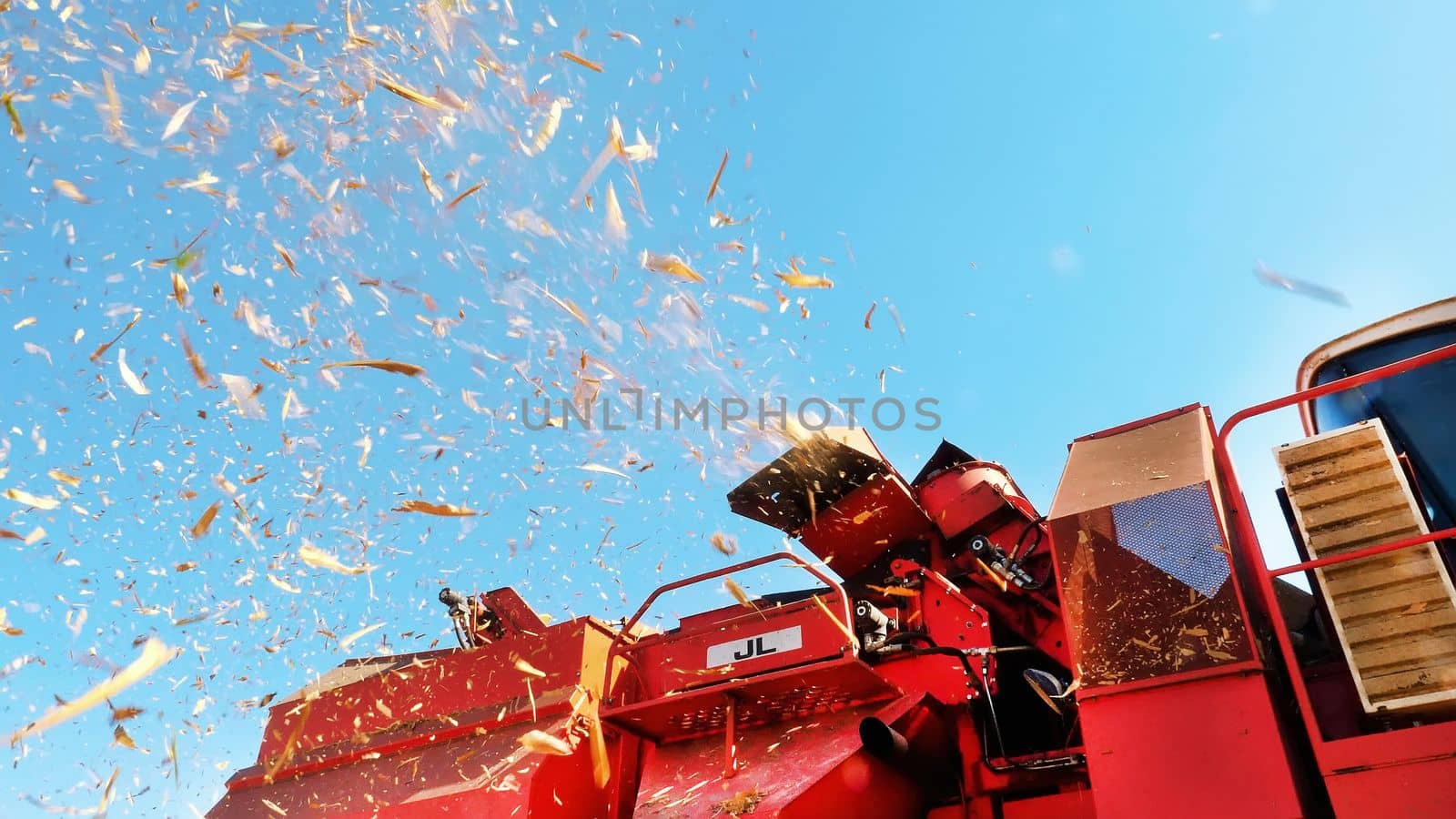 close up, dry foliage flies in the wind across the field. View of filtering process of Fresh ripe corncobs from leaves and stalks on big red combine harvester machine. autumn. corn harvest. Agriculture. High quality photo