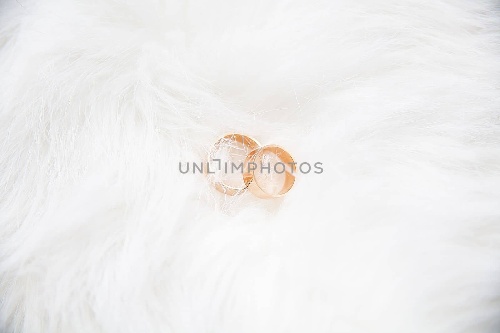 beautiful wedding rings on a white background