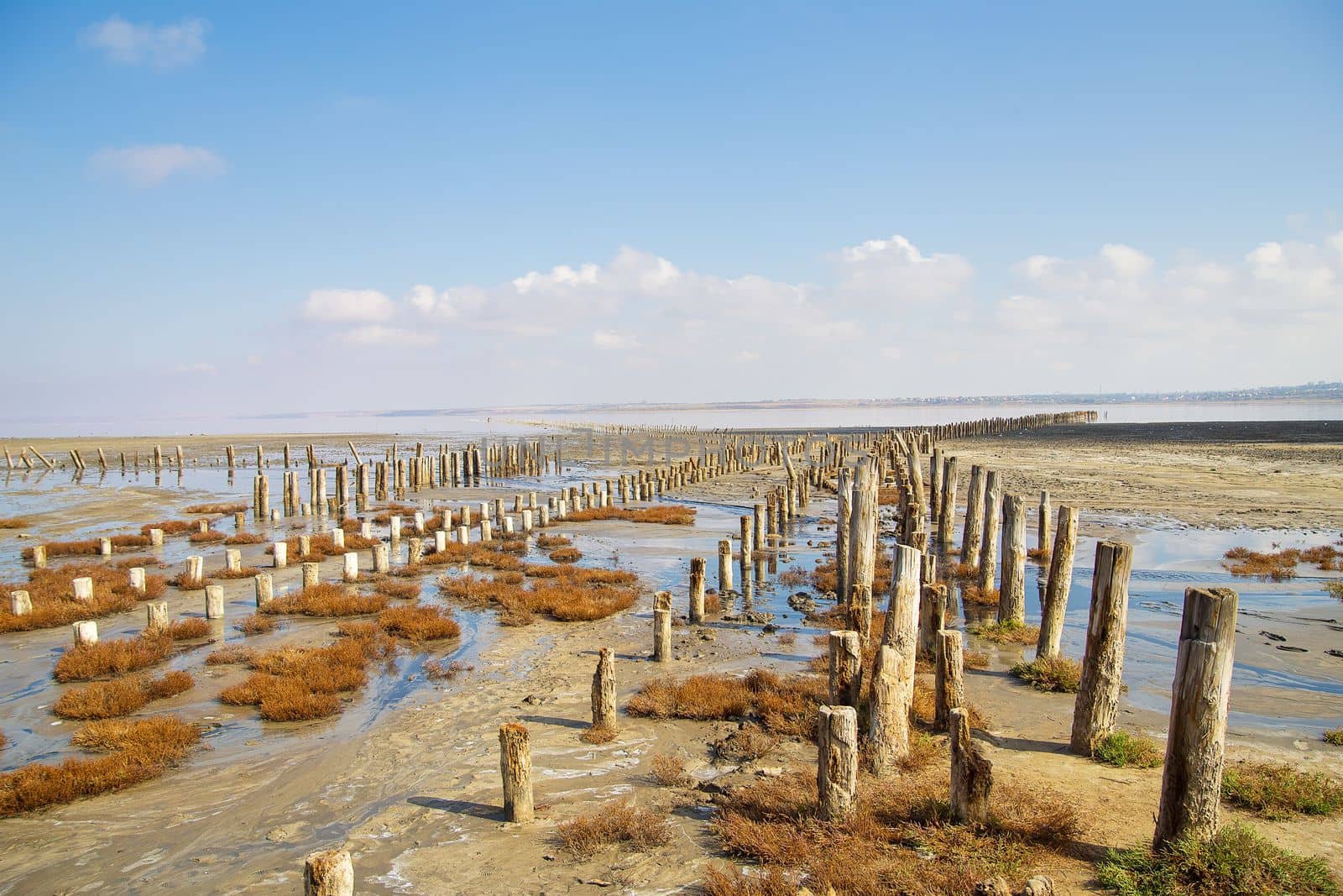 log in beach sand Kuyalnik Odessa Ukraine