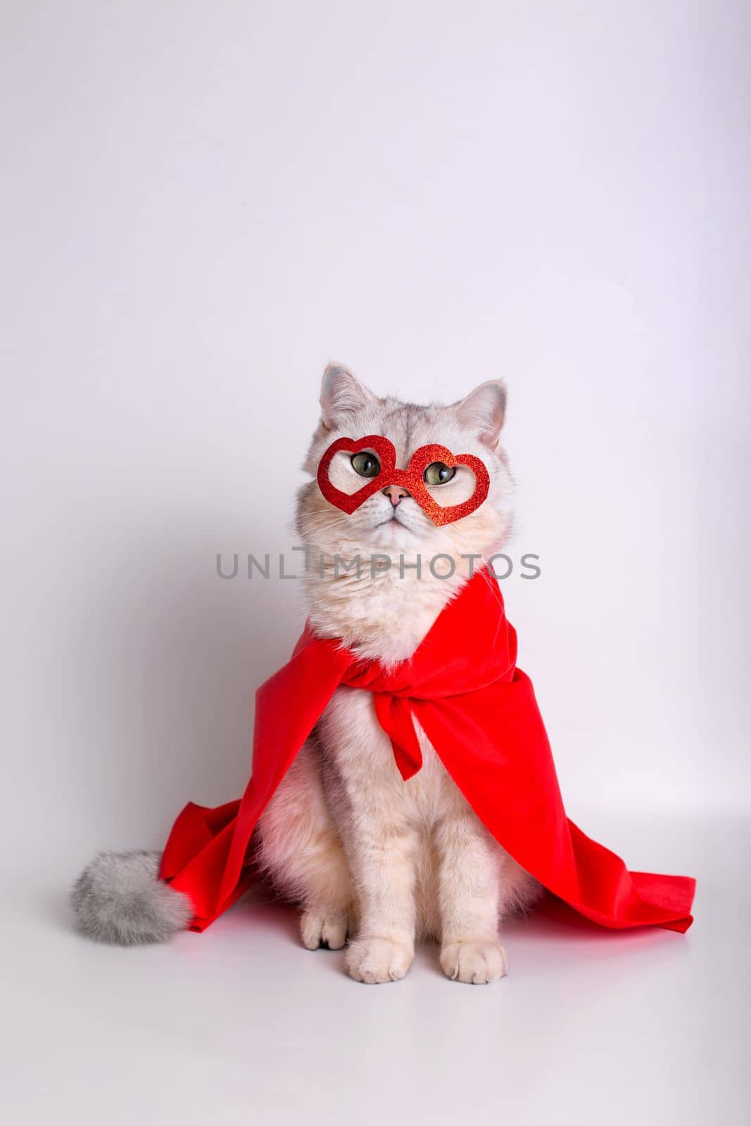 Funny white cat with green eyes, sits on white background, in a red mask in the form of hearts and a red cape, looks at camera. Close up. Vertical. Copy space