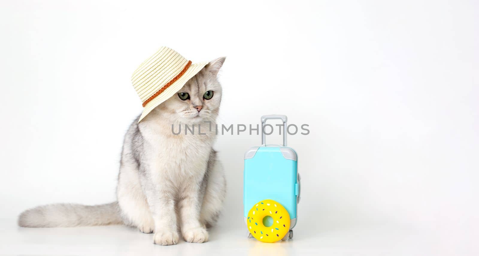 A funny white cat in a hat sits with a suitcase and a yellow rubber donut on a white background. copy space. Wide banner