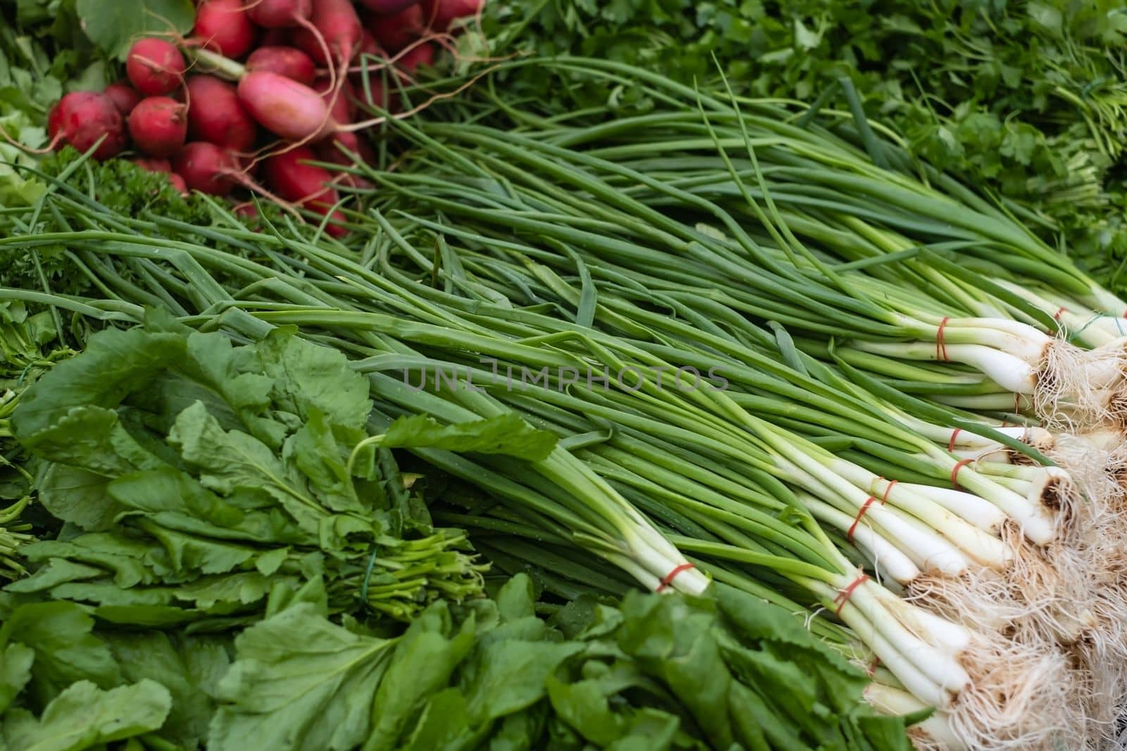 Bunches of green onions on display at a farmers' market. 