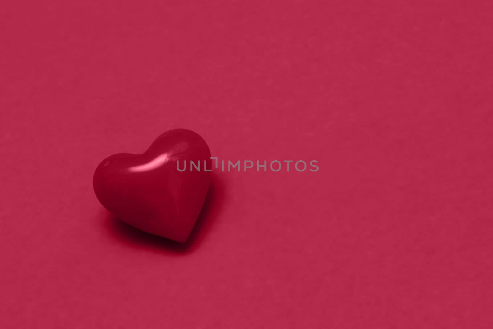Valentines day magenta heart on same color background. Monochromatic vivid color. Valentine's day concept. Close up, copy space. by Ri6ka