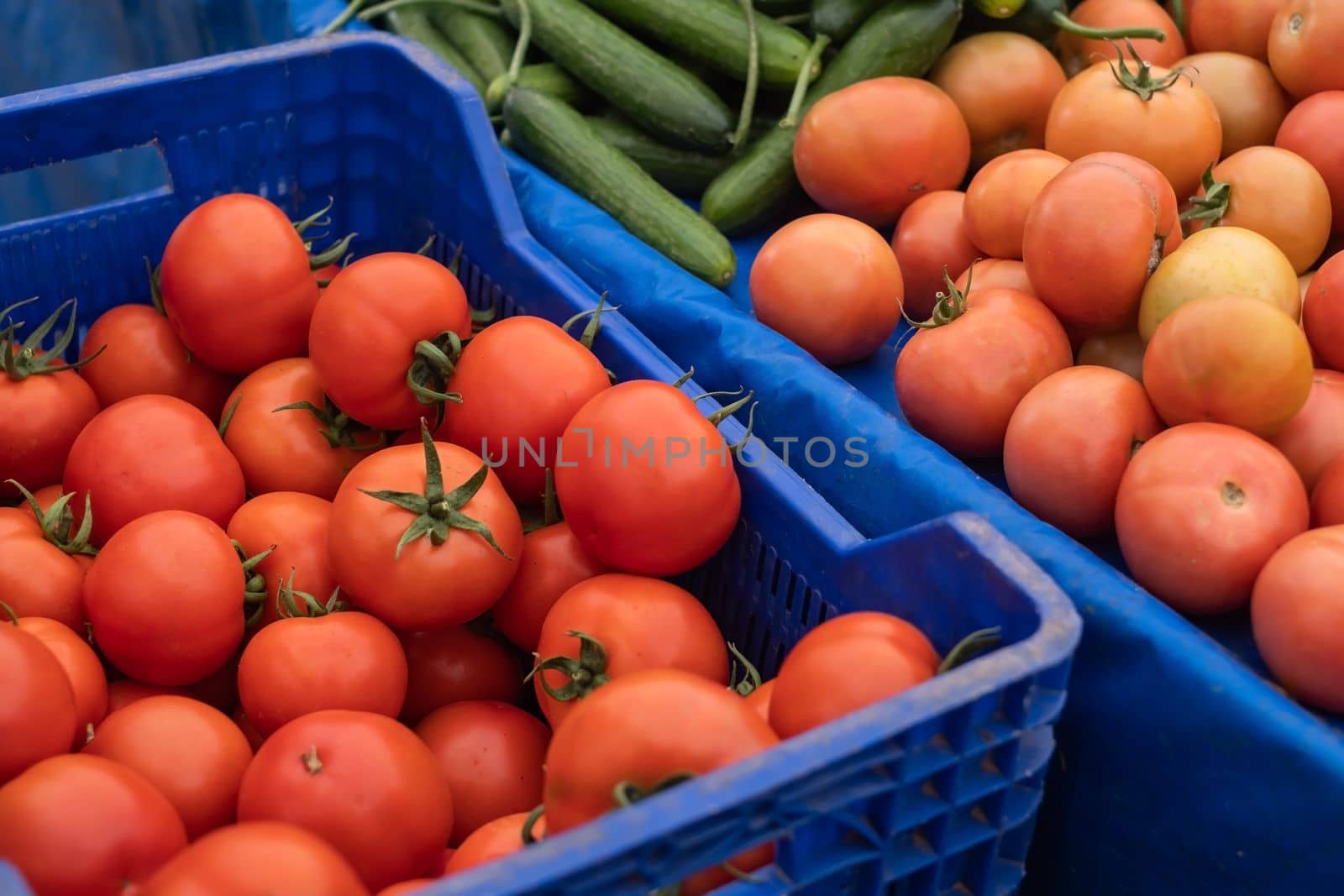 Fresh red tomatoes in boxes. Vegetables in local farmers market or supermarket. Rich harvest. 