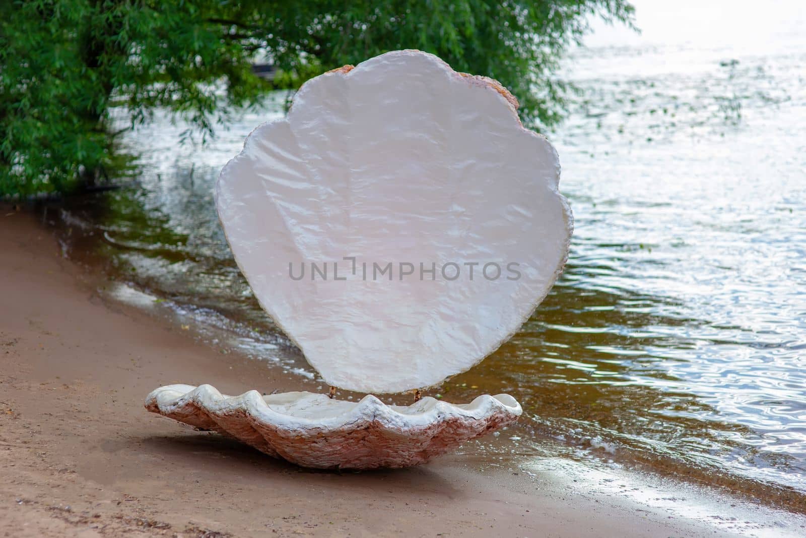 There is an open large seashell on the shore by Zakharova
