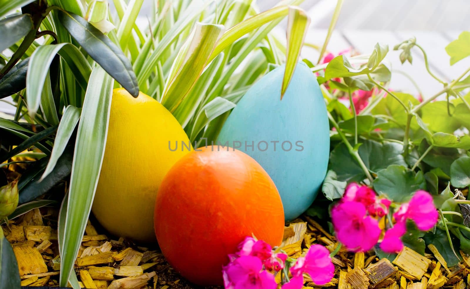 Three large multicolored wooden eggs on a flower bed, among flowers and grass. Close up. Side view