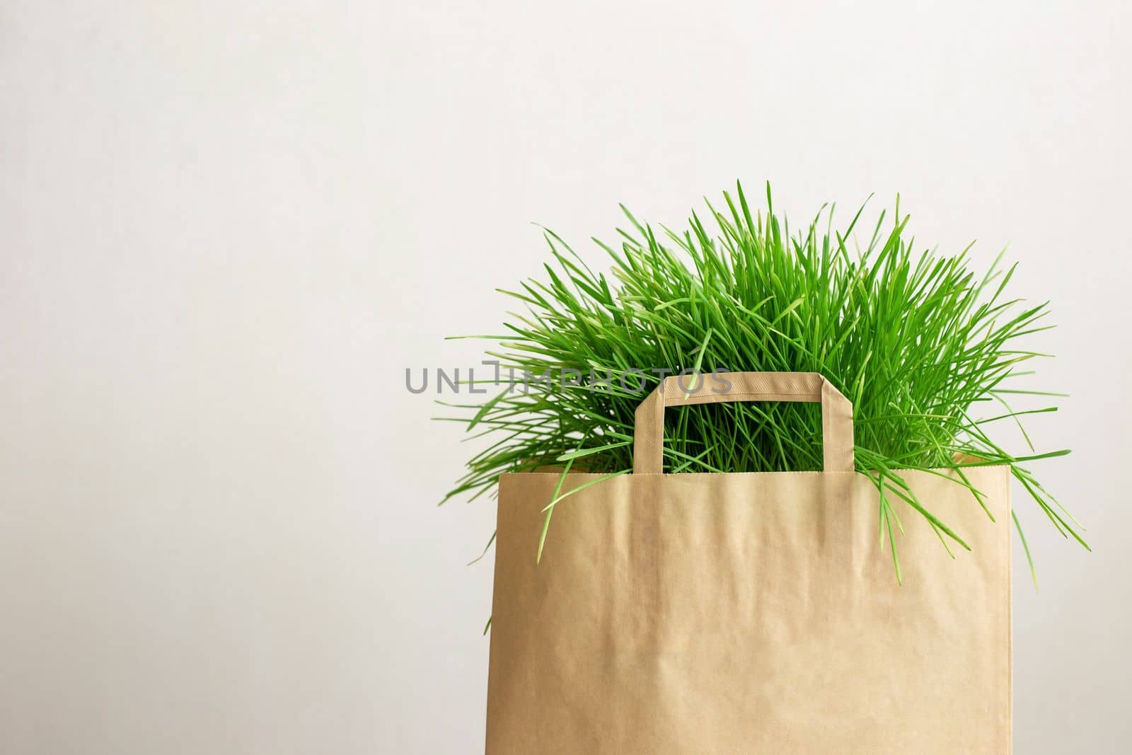 Brown paper bag with green grass on a light background. Close up. Mock up. Copy space