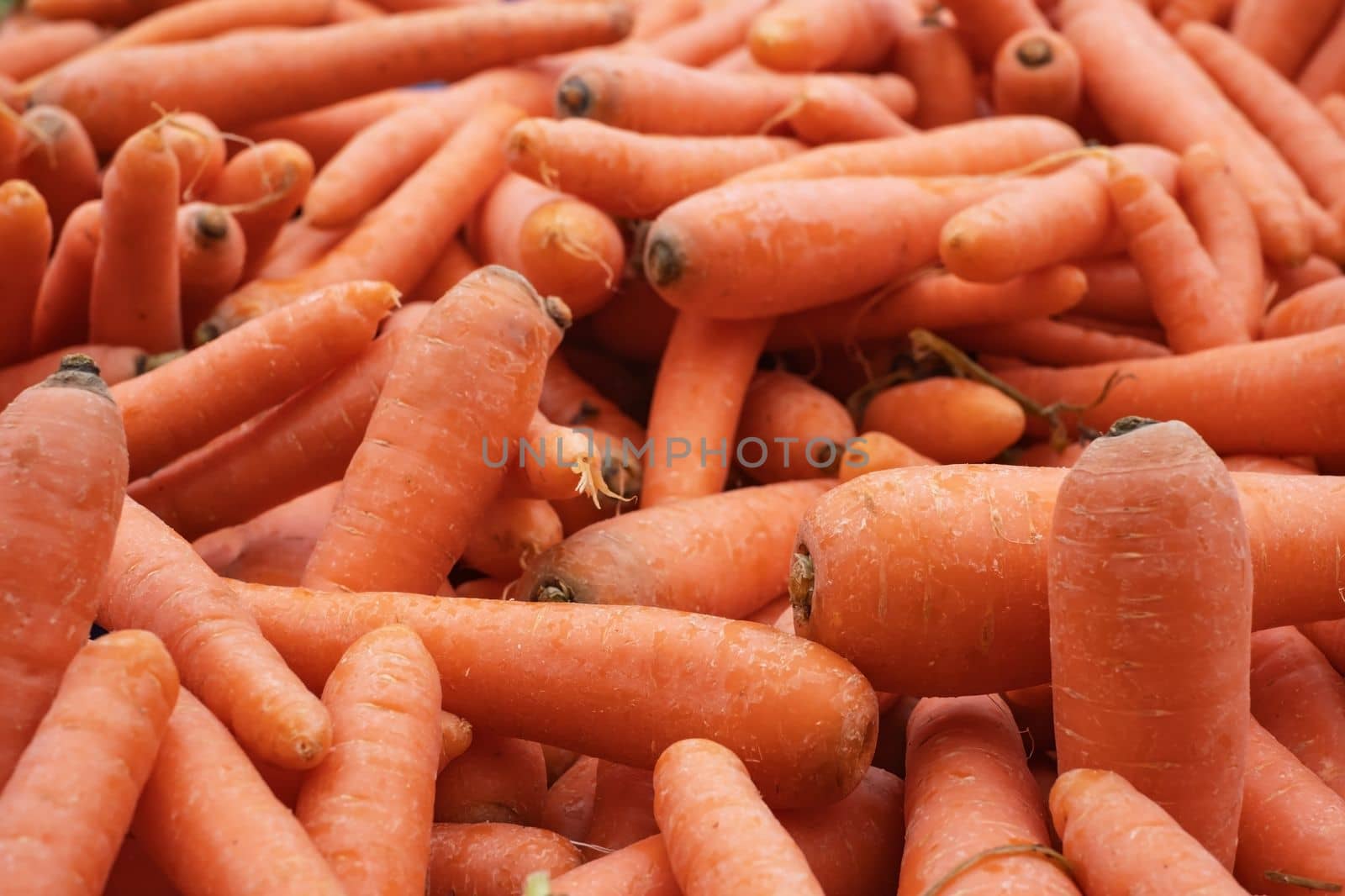 Orange organic carrots at a local farmers' market in Fethiye, Turkeye