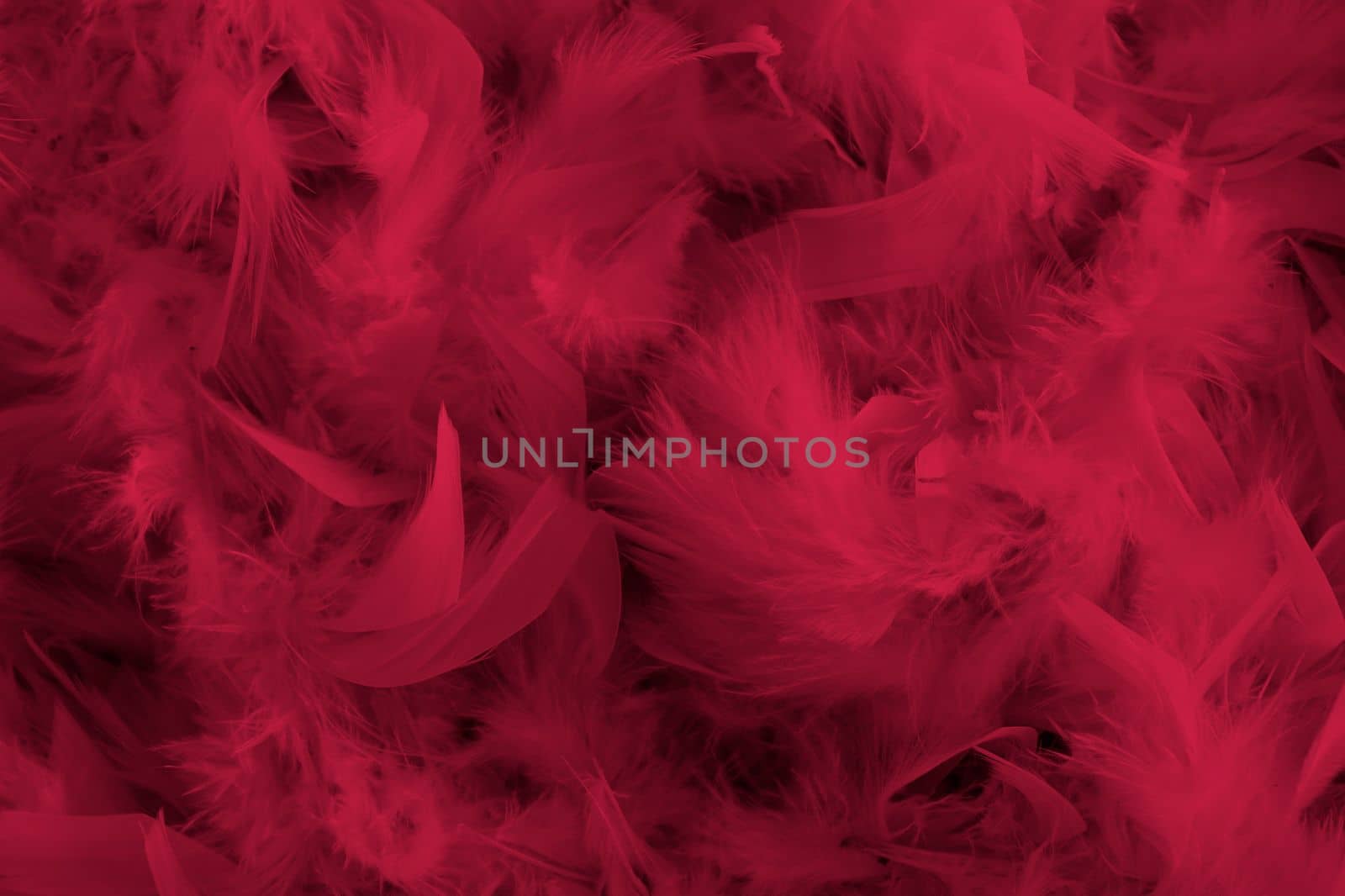 background of magenta feathers beautiful tactile soft surfaces and texture, Pantone Color of the Year 2023, High quality photo