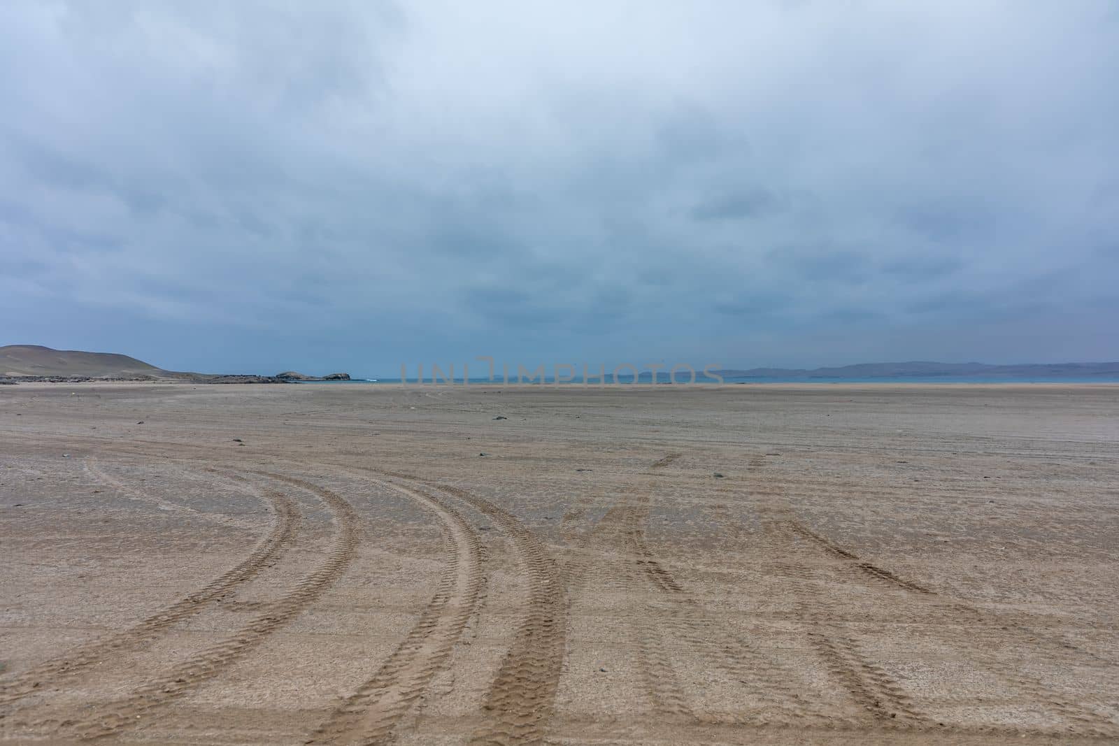 sandy seashore with car tire tracks. High quality photo