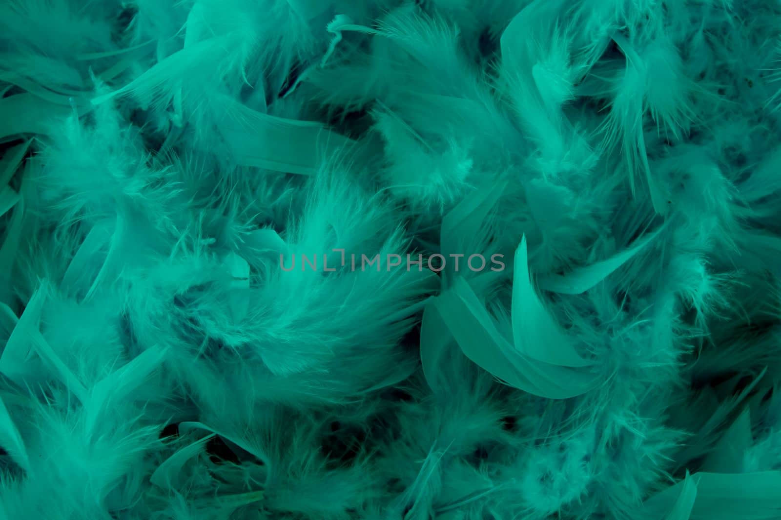 background of turquoise feathers beautiful tactile soft surfaces and texture by KaterinaDalemans