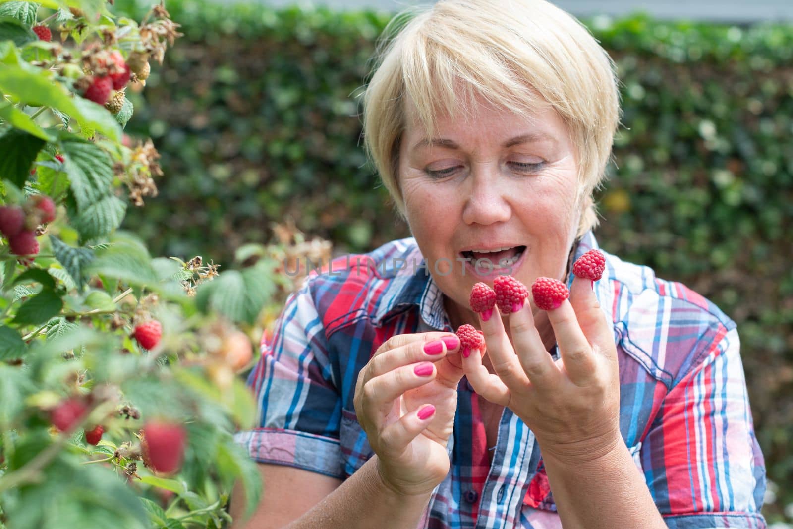 a middle-aged woman put raspberries on her fingers and shows her original berry summer manicure. High quality photo
