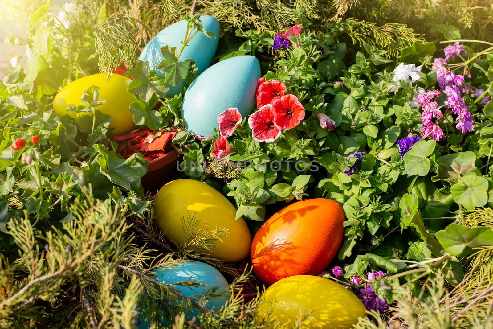 Large multi-colored wooden eggs lie on a flower bed, on a sunny day, view from above. Close up