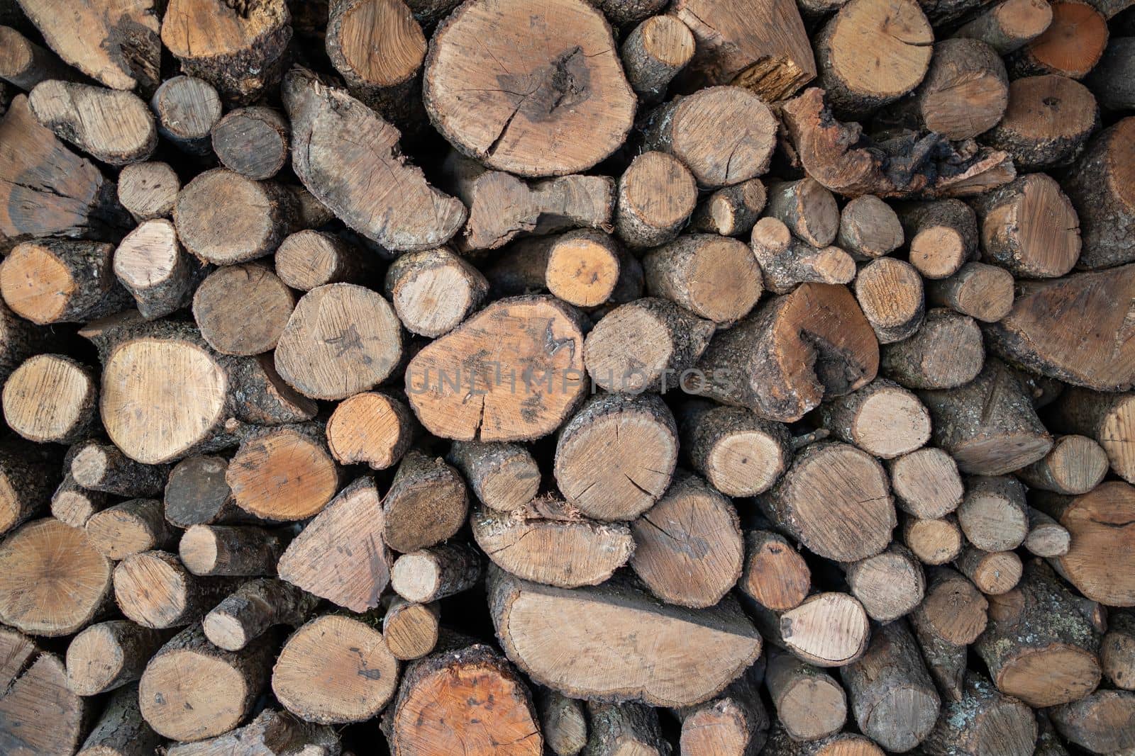 pile stacked natural sawn oak wooden logs background prepared for winter , top view. by papatonic