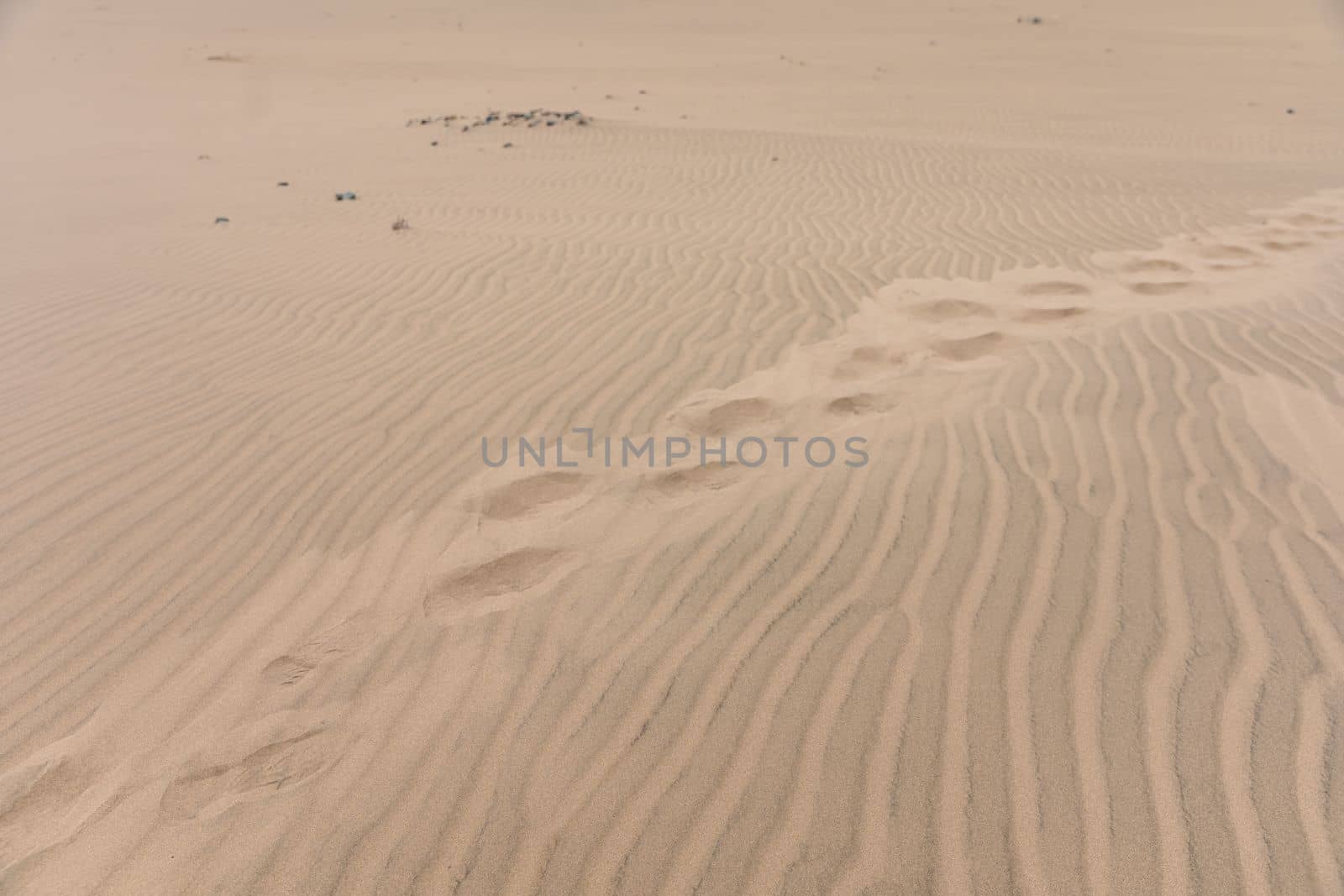 shoe prints on sand dune.