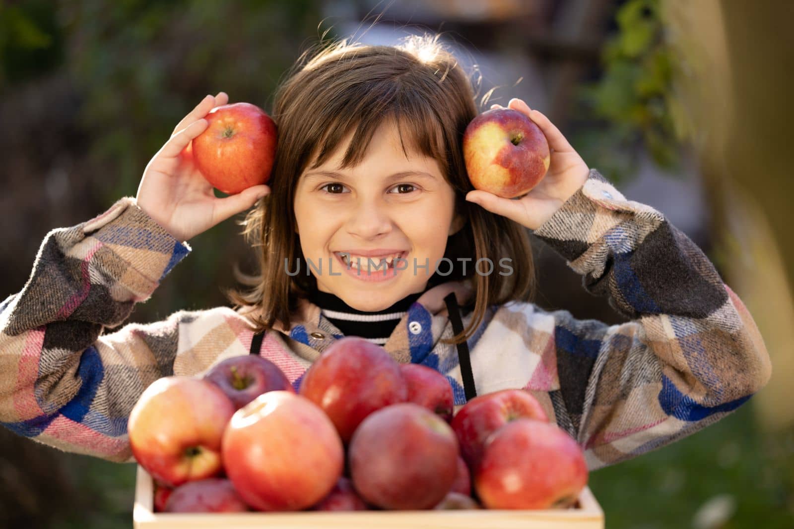 Beautiful smiling young child female girl holding apples with pretty face looking at camera. Organic red freshly picked apples in the wooden box. Apple harvesting. Apple farming.
