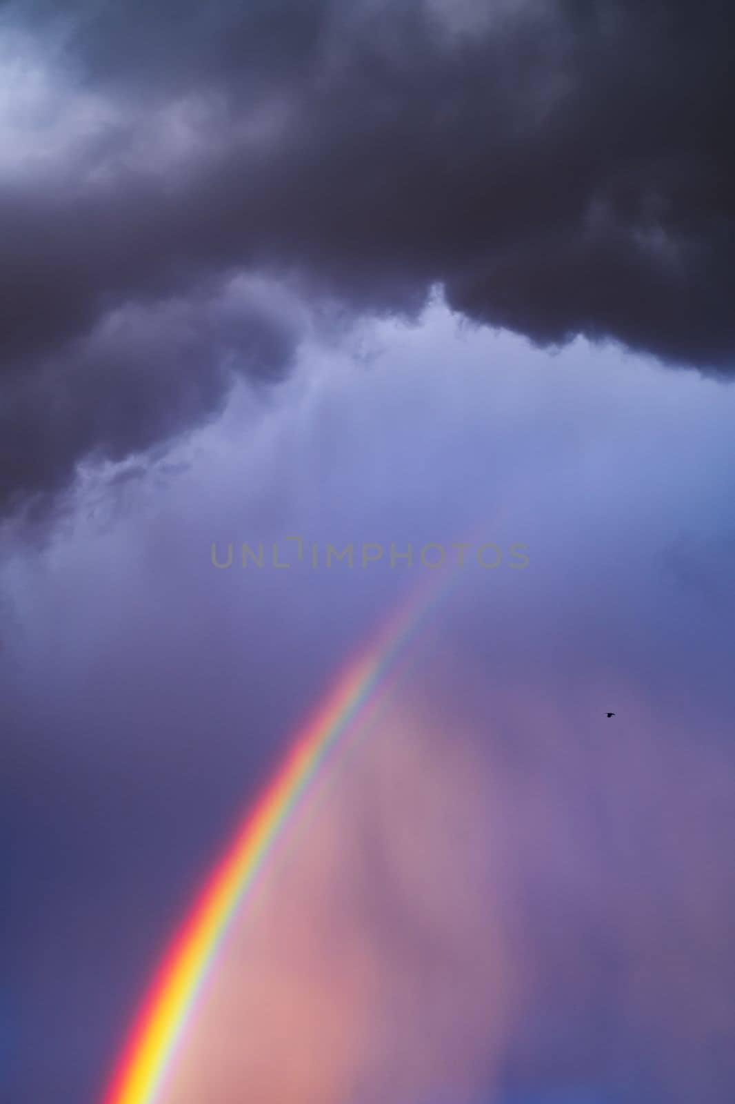 Rays of the sun breaking through the stormy sky, forming a marvelous rainbow. High quality photo