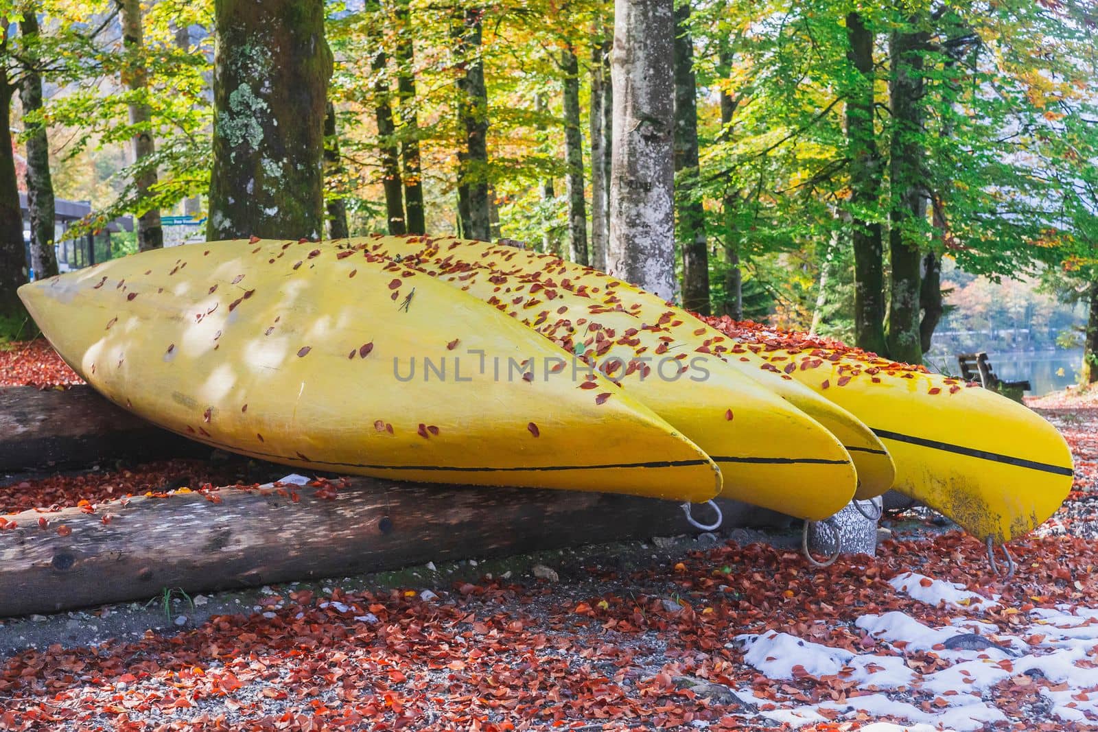 Canoe in the autumn forest on the shore of Lake Bohinj in Slovenia.