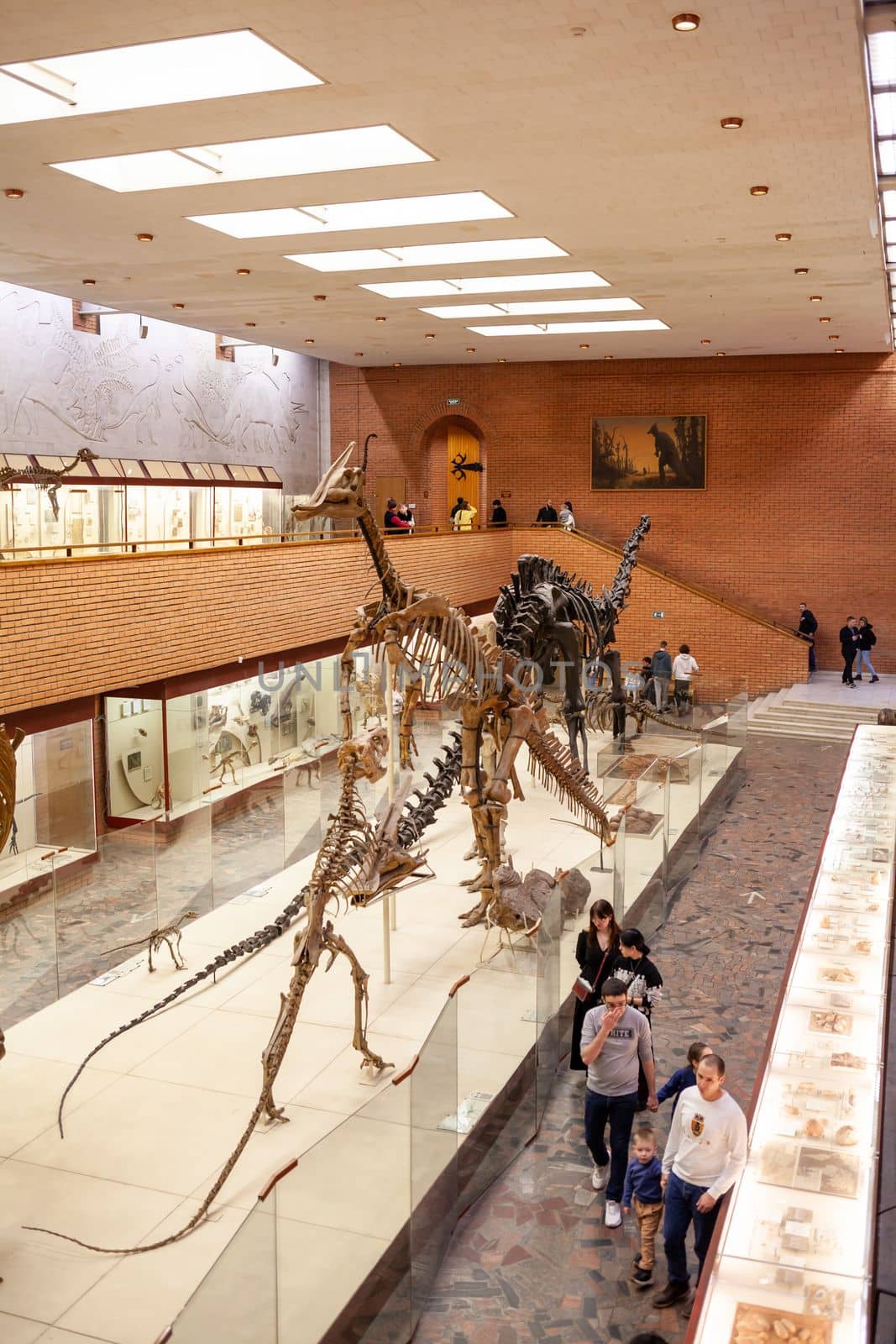 20.11. 2022, Moscow, Russia, Yu.A. Orlov Paleontological Museum, Tricerapers Dinosaur Skeleton. Tyrannosaurus rex skull, Giant Dinosaur. T-rex skeleton