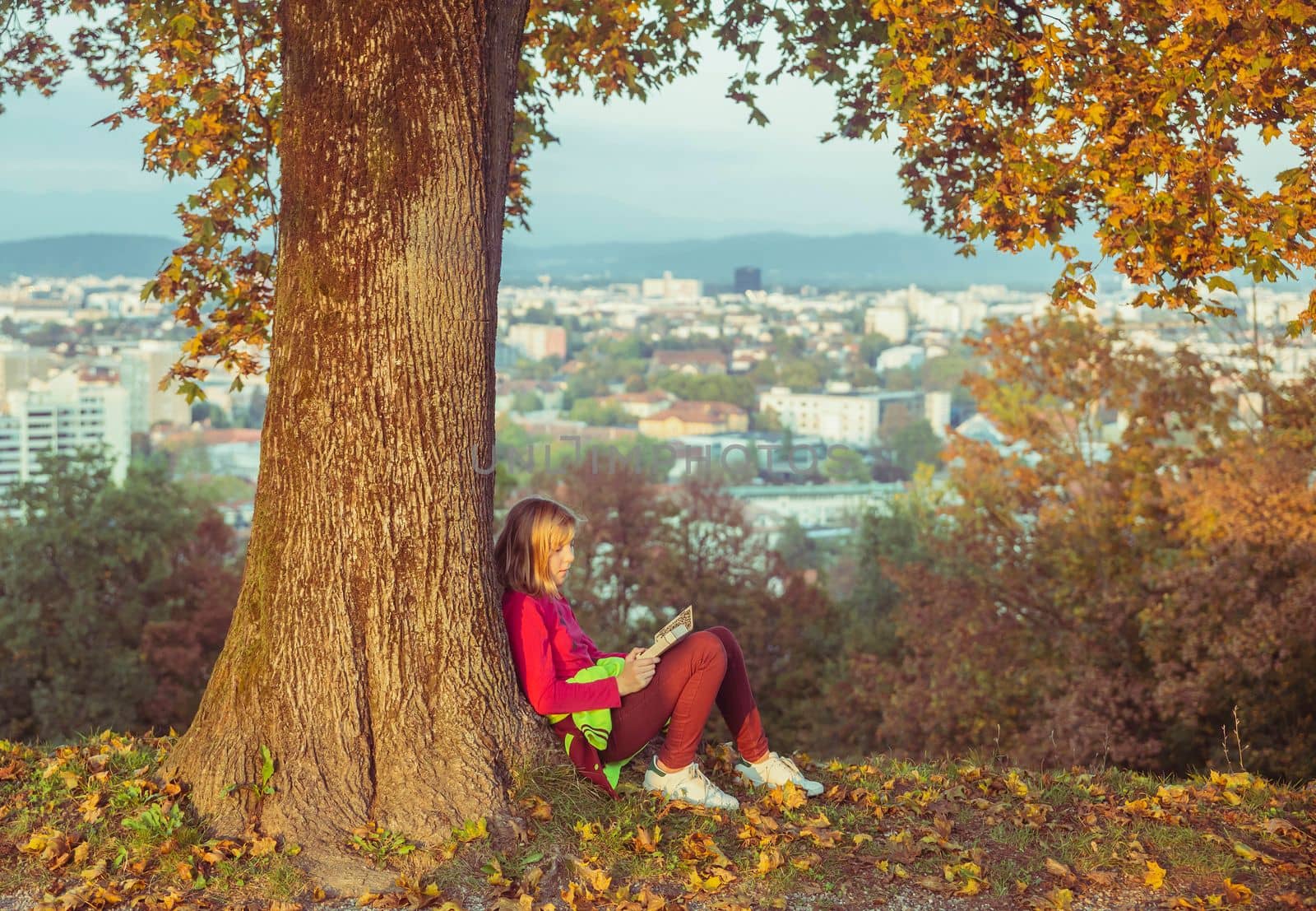 teenage girl sitting under an autumn tree on a hill on the Sunset.