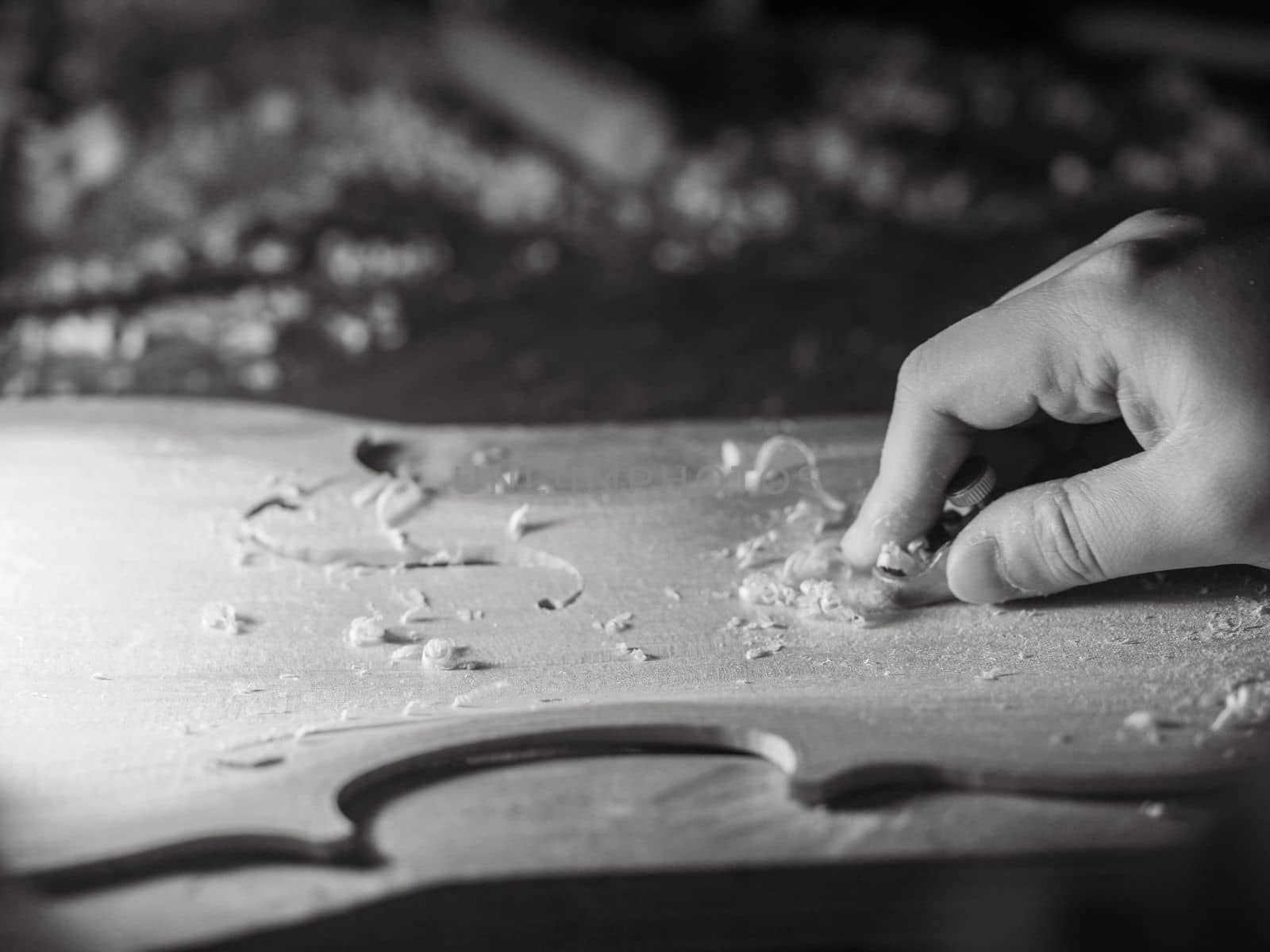 luthier working on raw wood violin plate with finger plane on the bench