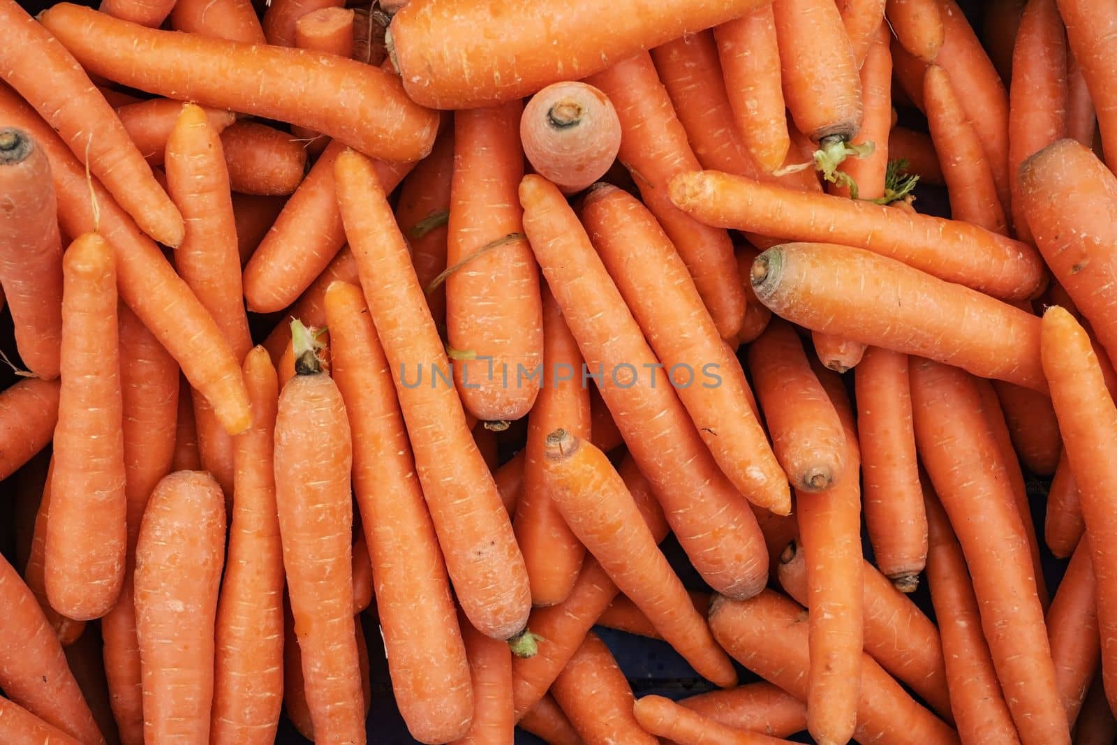 Orange organic carrots at a local farmers' market in Fethiye, Turkeye