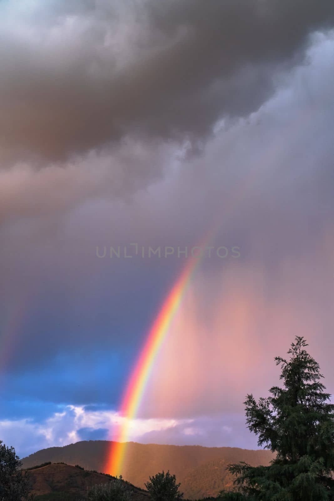 Rays of the sun breaking through the stormy sky, forming a marvelous rainbow by koldunov