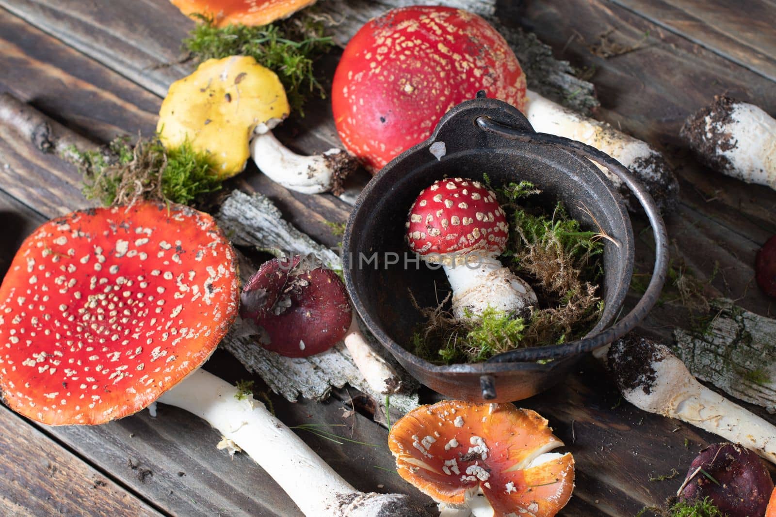 beautiful orange-red fly agaric on a wooden table ,autumn harvest of poisonous mushrooms. High quality photo