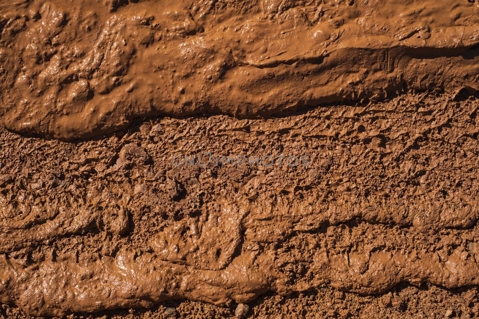 Wet mud background texture. High quality photo