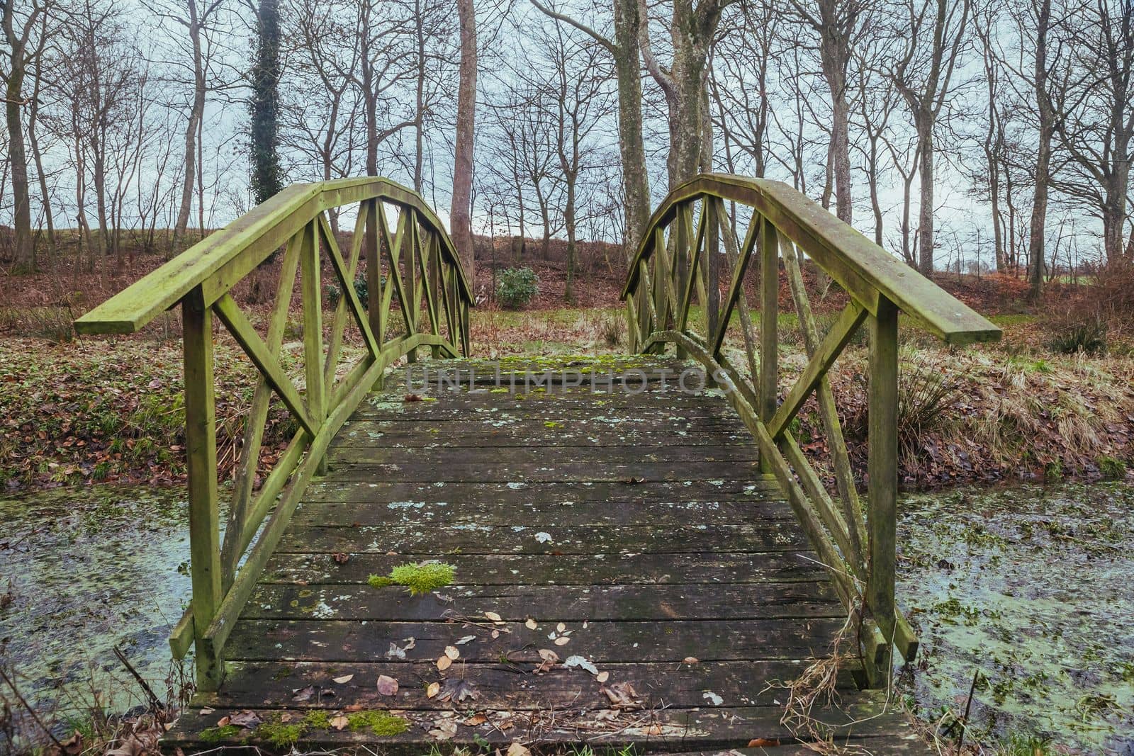 Old rotten bridge over a stream in Denmark.
