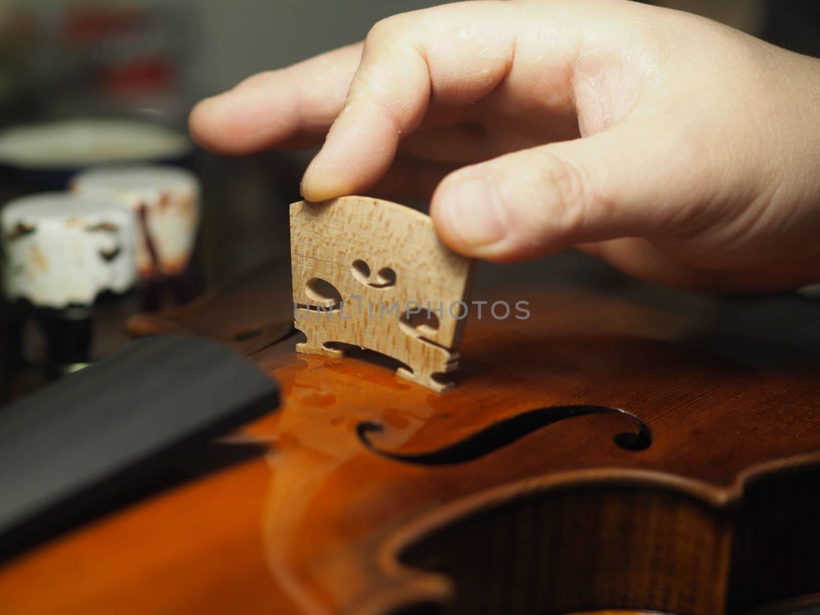 artisan placing the violin, viola, or cello bridge for playability, tone, and structural integrity