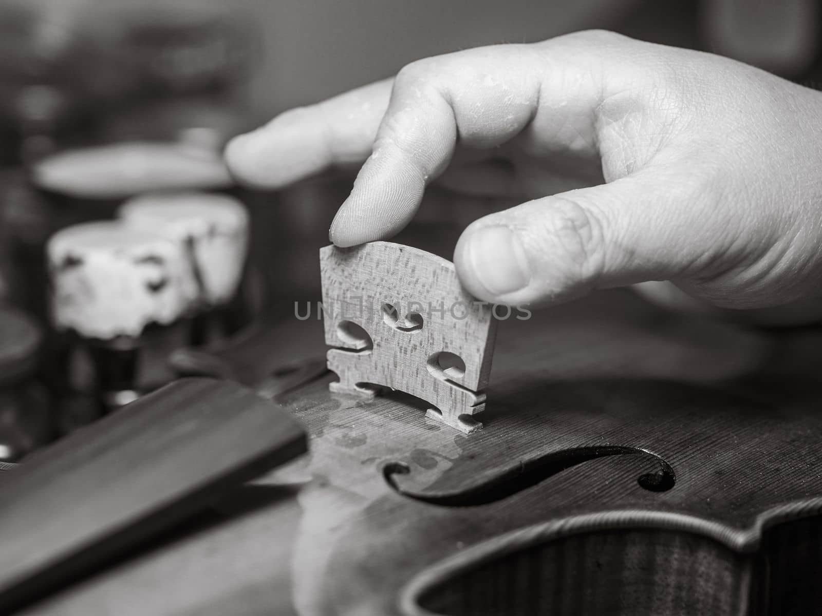 artisan placing the violin, viola, or cello bridge for playability, tone, and structural integrity
