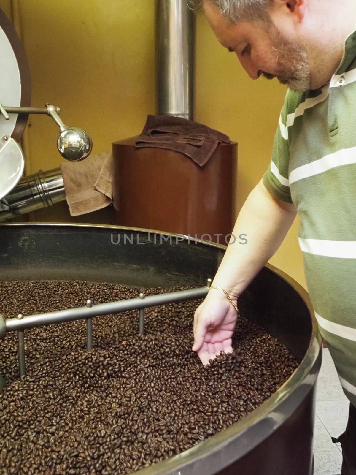 Freshly roasted coffee beans pouring from a large coffee roaster into the cooling cylinder.