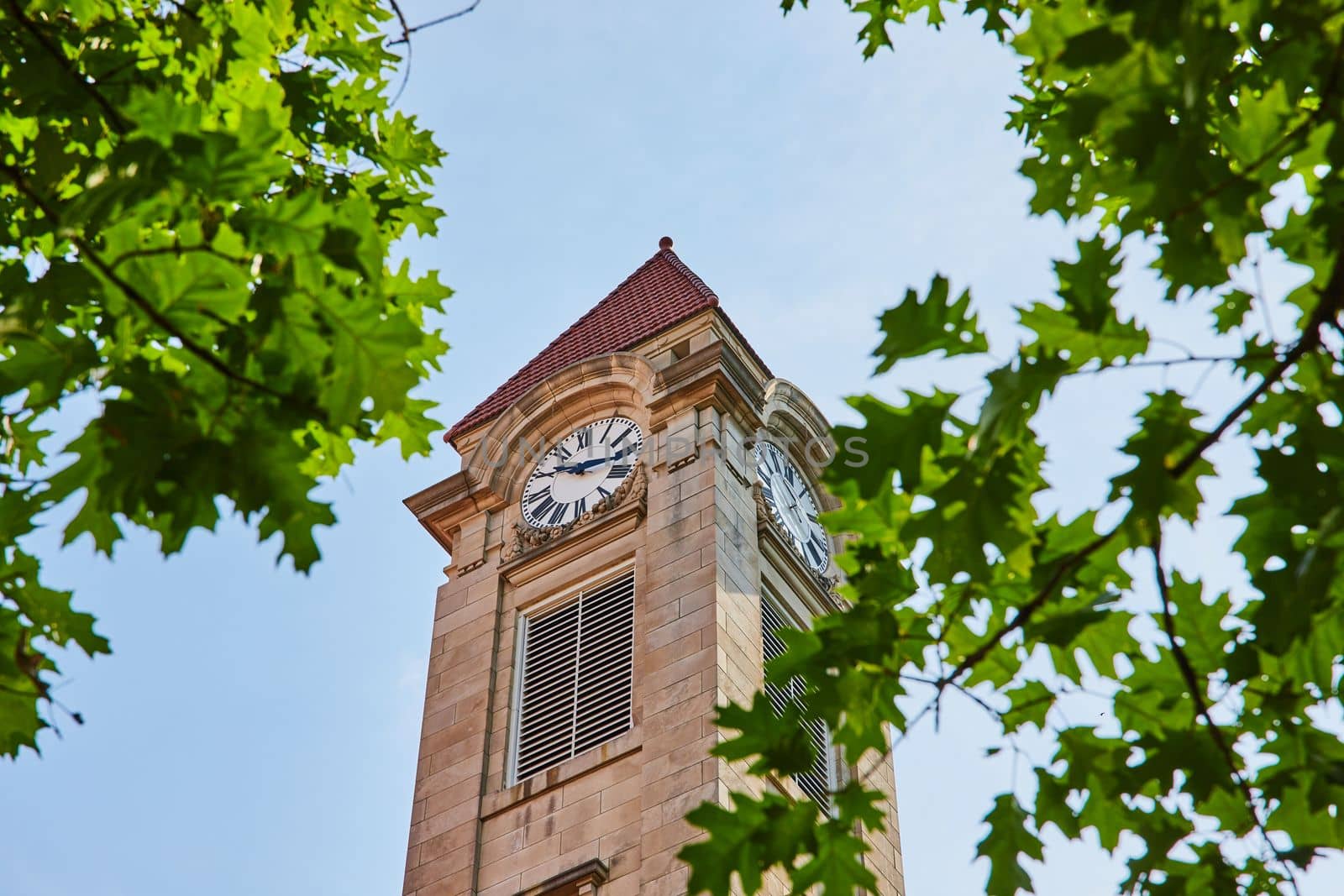 Image of Detail of limestone clock tower surrounded by green leaves