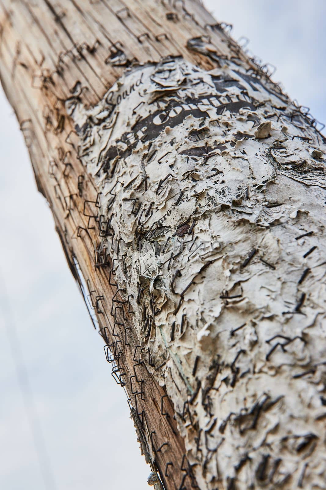 Detail of layers of staples and paper on wood telephone pole by njproductions