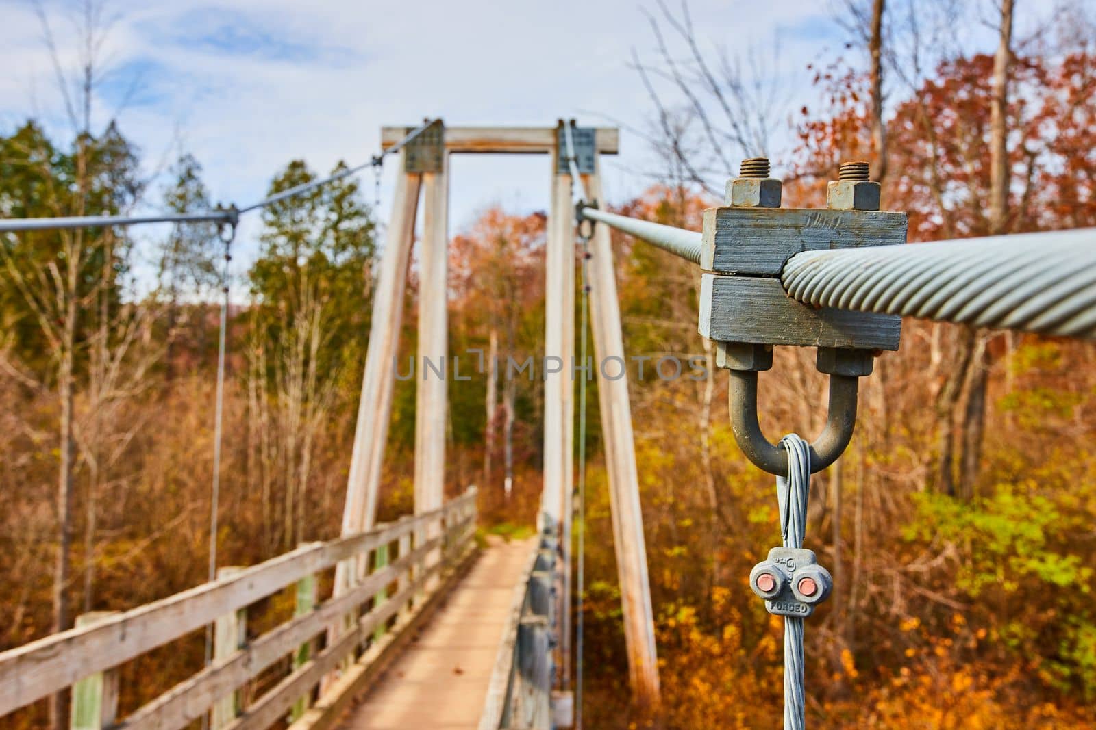 Detail of support ropes for large suspension bridge leading into fall forest by njproductions