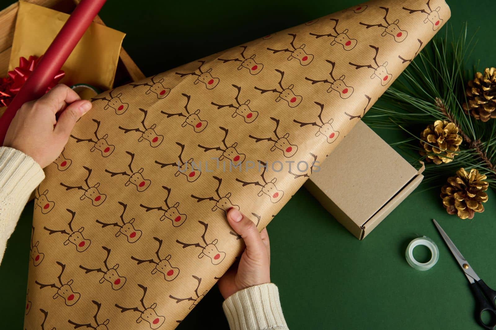 Top view woman's hands rolling out the decorative wrapping gift paper with deer pattern, above a green background with golden pine cones and fir-tree branch. Packing presents. Christmas preparations