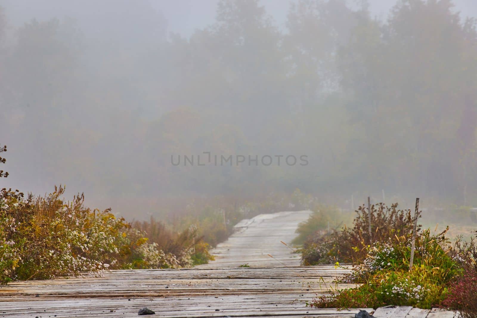 Unusual wood plank road through fields of flowers fading in foggy morning by njproductions
