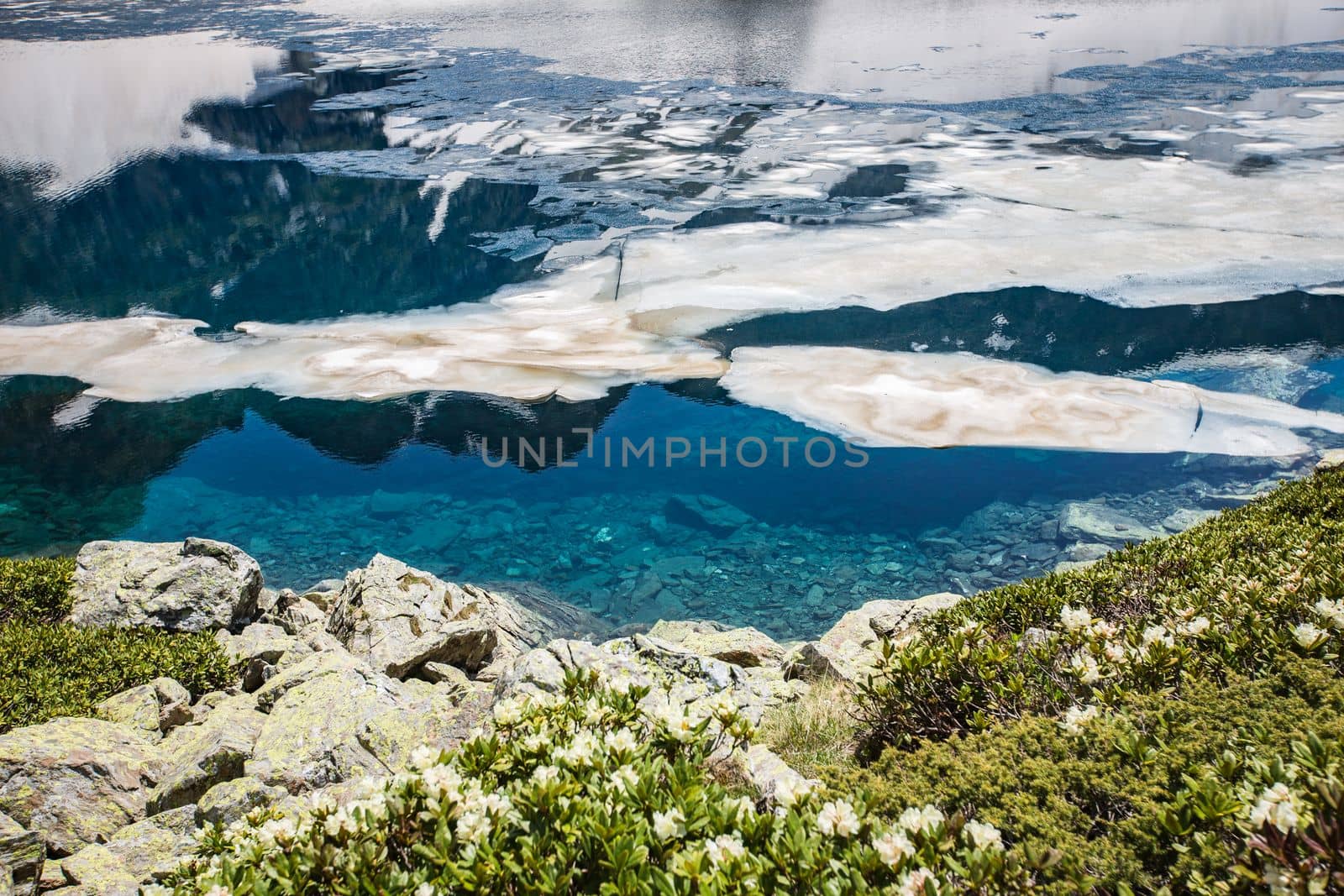 Alpine Lake in Caucasus Mountains