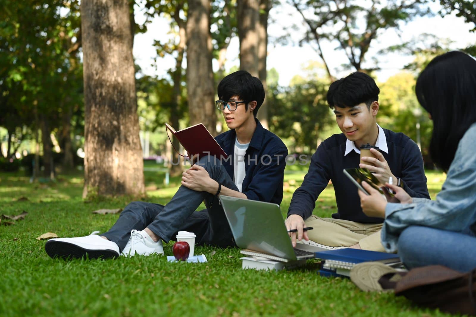 Group of university students talking, relaxing on campus lawn and working on laptop together. Education and lifestyle concept.
