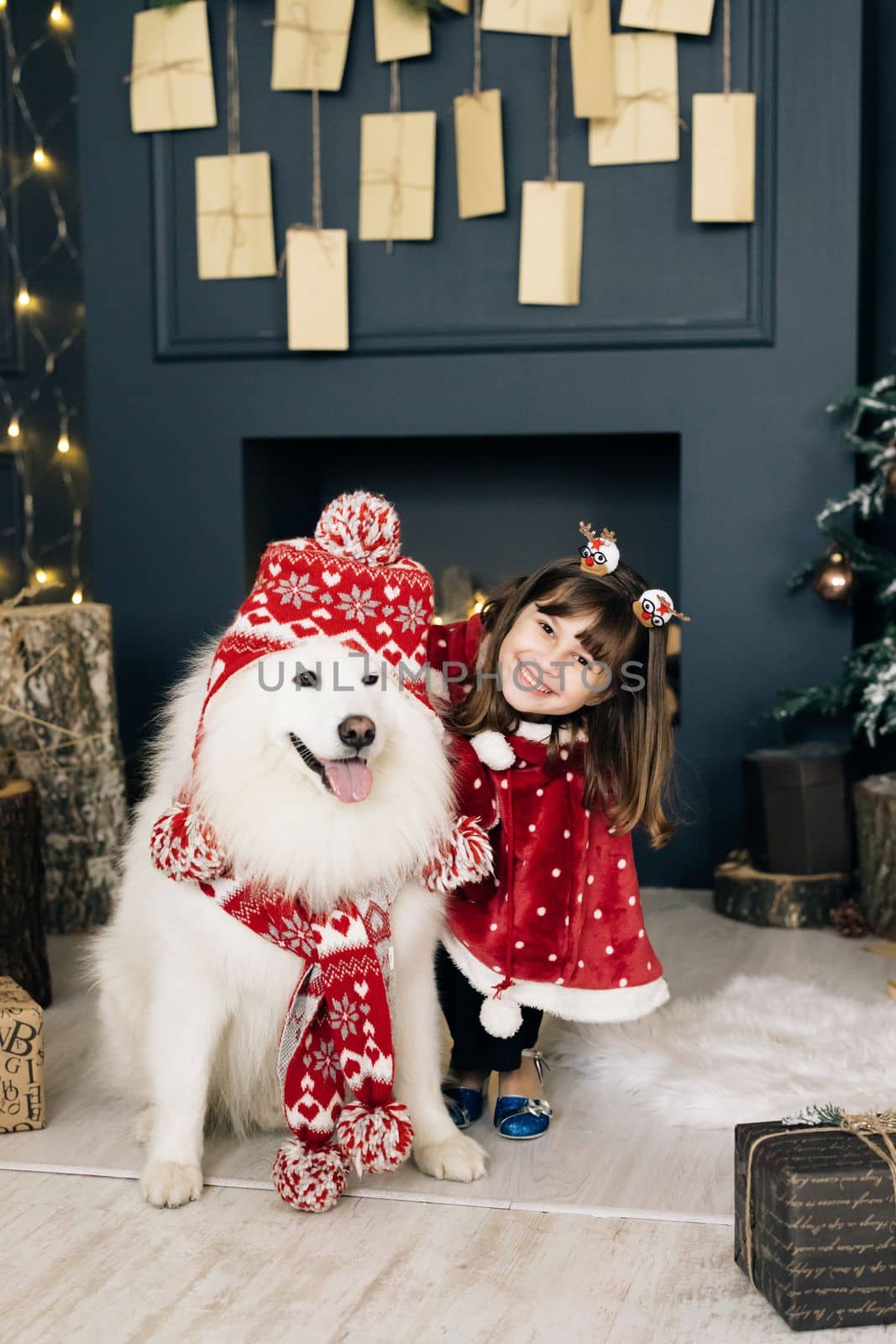 Charming little girl with dog samoyed retriever are waiting for the New Year at home, smiling and looking at camera near christmas tree in beautiful interior. Merry Christmas and Happy New Year. by uflypro