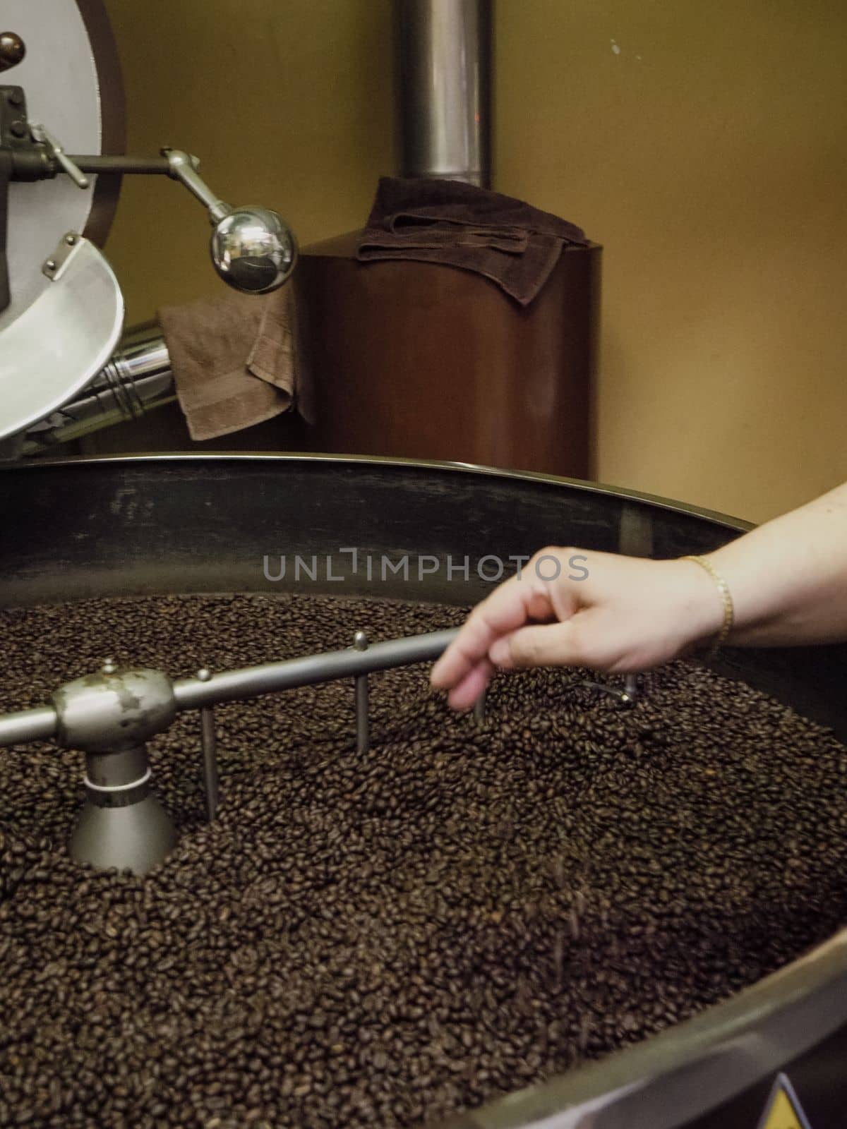 Freshly roasted coffee beans pouring from a large coffee roaster into the cooling cylinder.