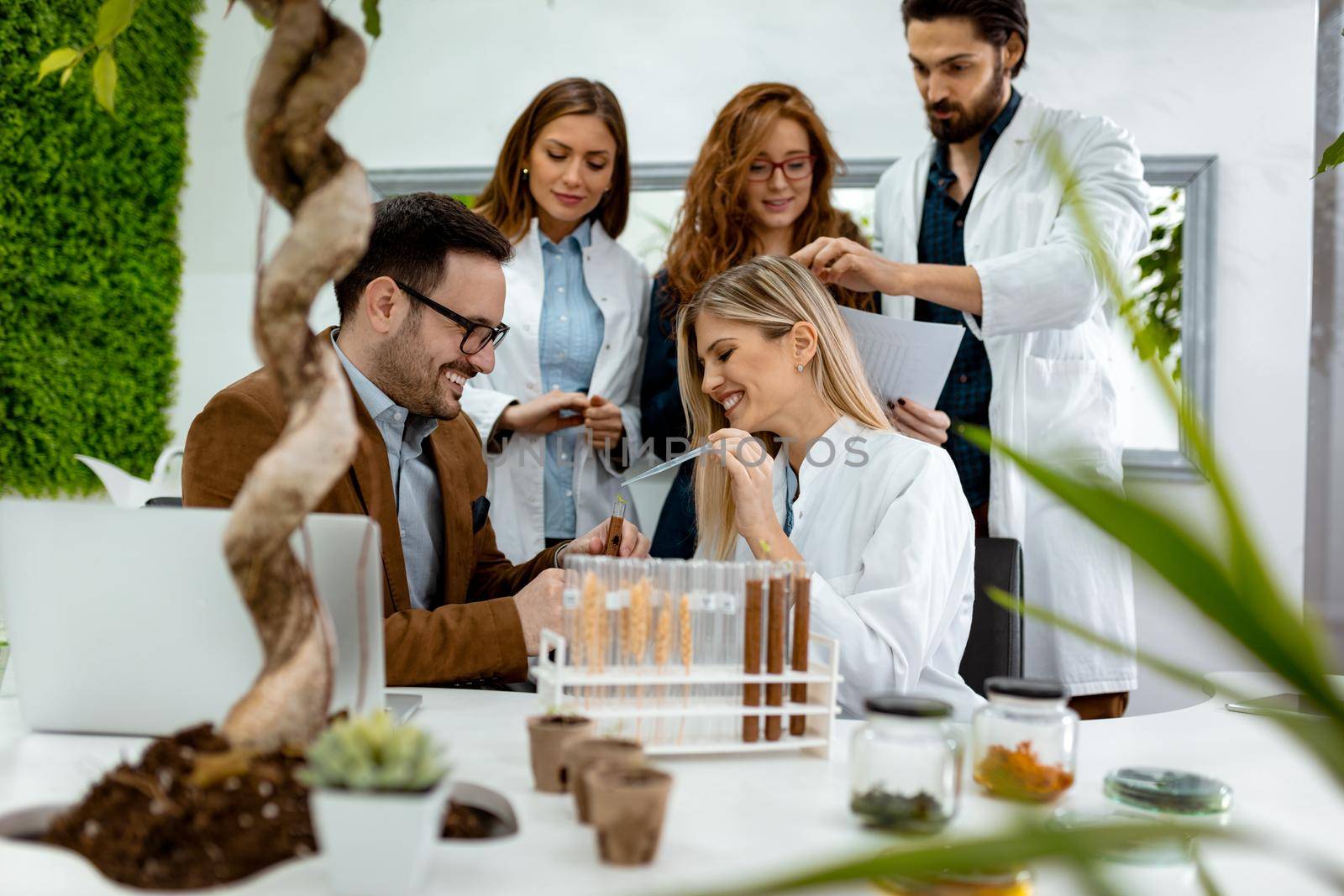 University colleague biologists taking experiment on sprout and checking the analysis of the sample of plant in the lab tube.