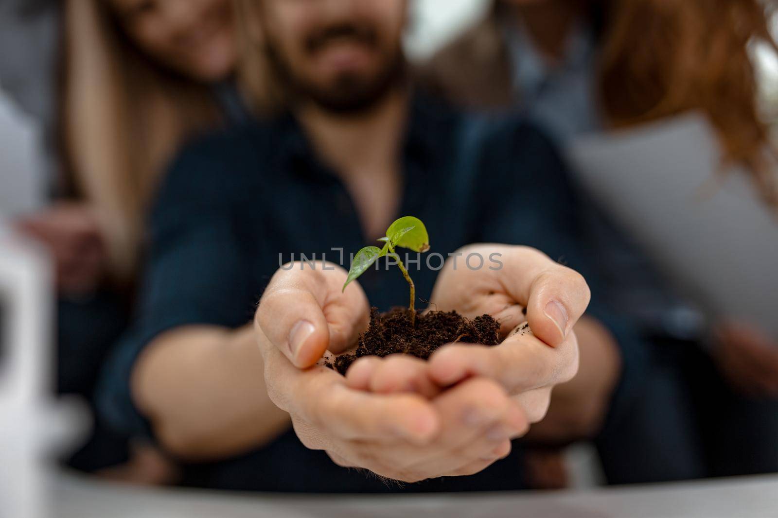 Businessman hands holding a fresh young plant sprout in soil. Symbol of growing and green business.